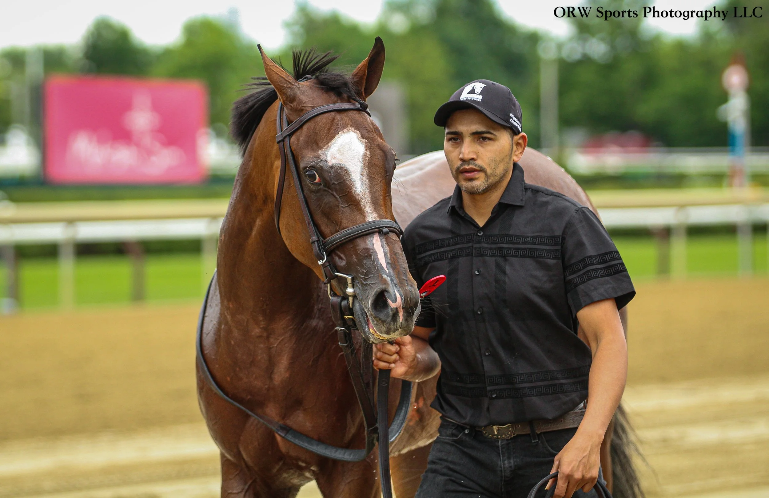 This filly has really stepped into her top form this year, and I'm so proud of her. 