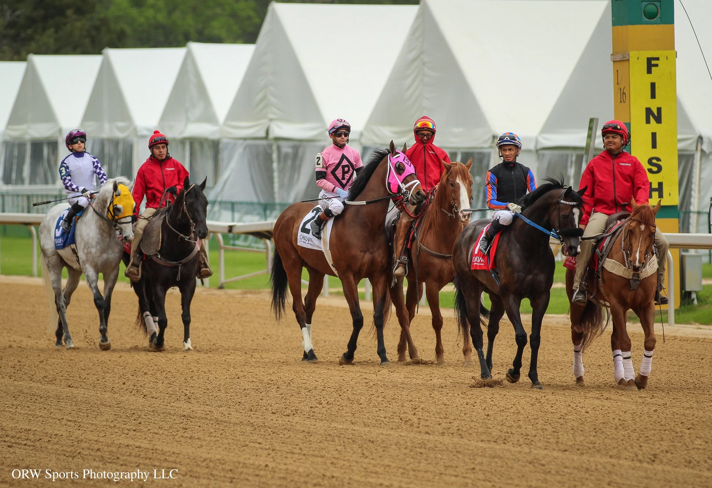 Miracle Mark, Barb, and Title Contender (right to left) 