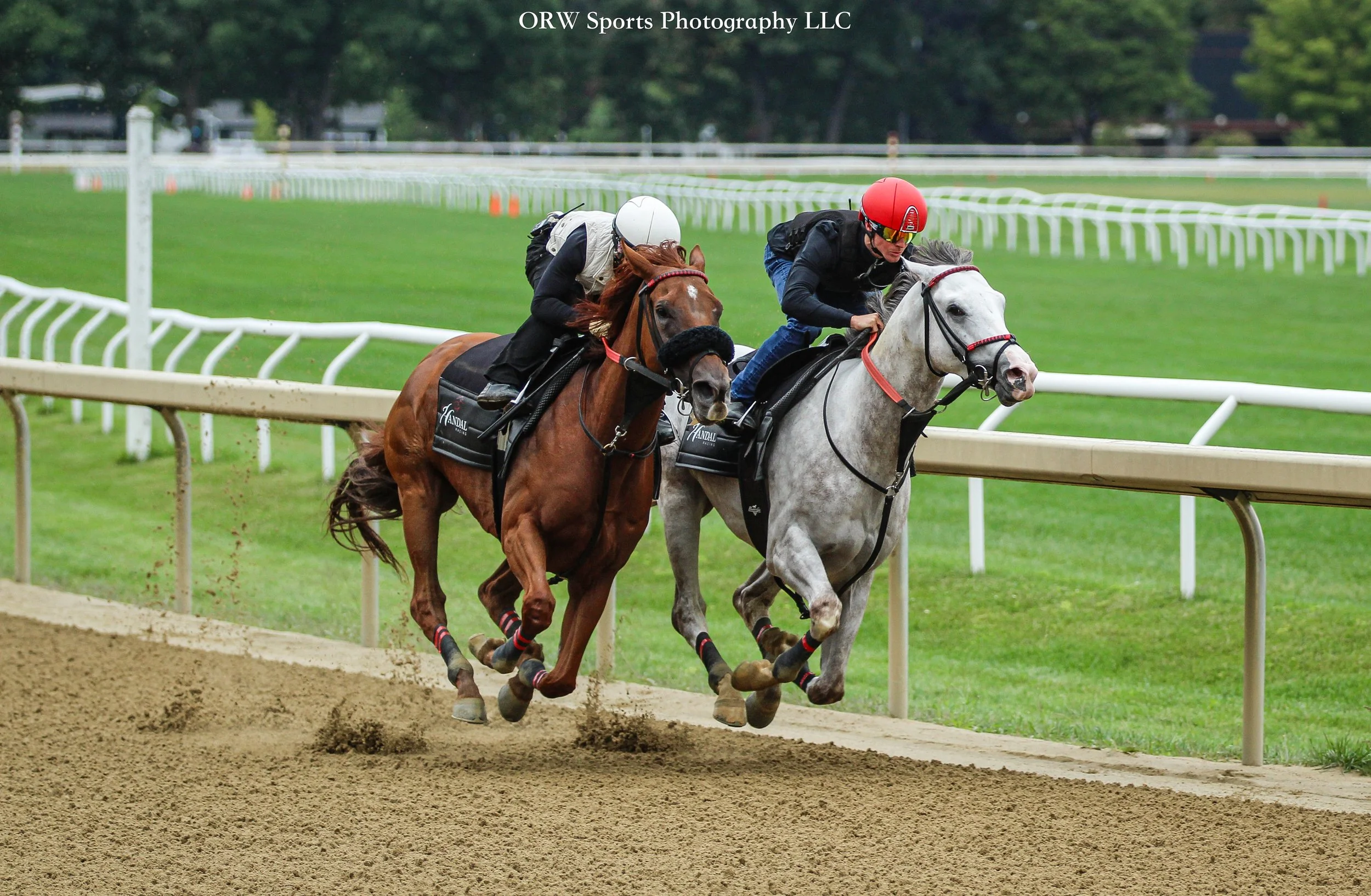 Jack Riley worked inside of Valtellina, going 4 furlongs in 49.7. 