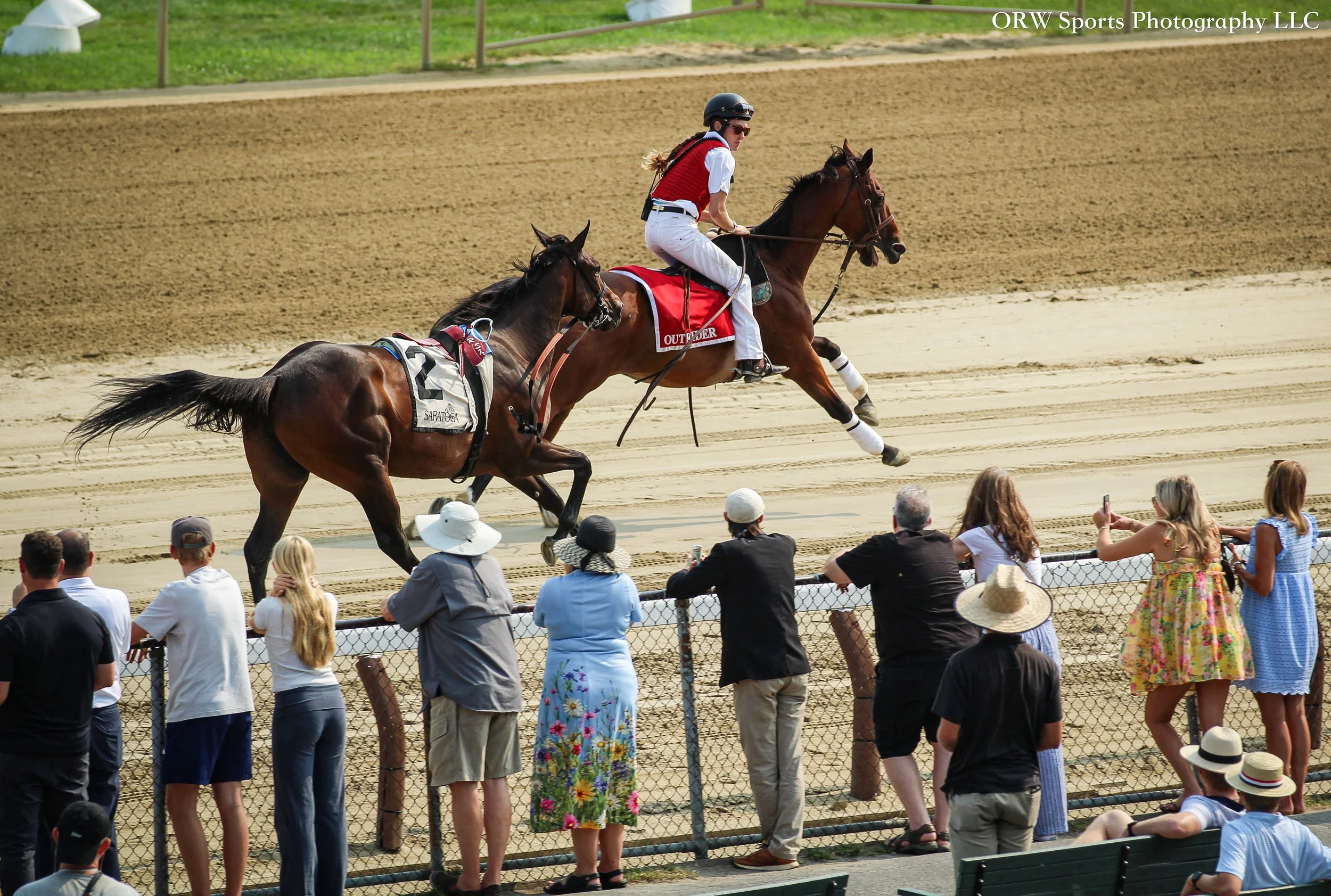 Paige Spangler and her horse spring into action to try to catch Mi Gordita. 