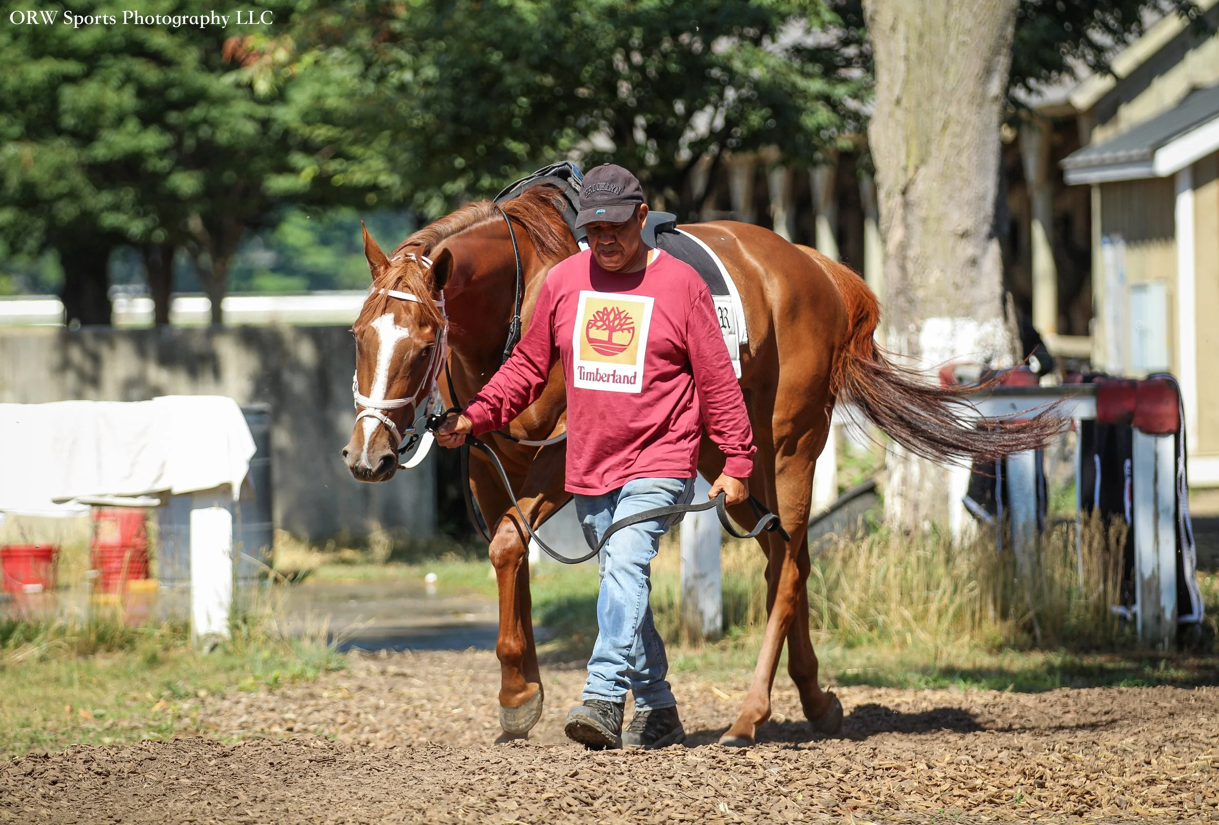 I joined Oscar’s Encore this morning as she returned to the worktab for trainer Joe Sharp