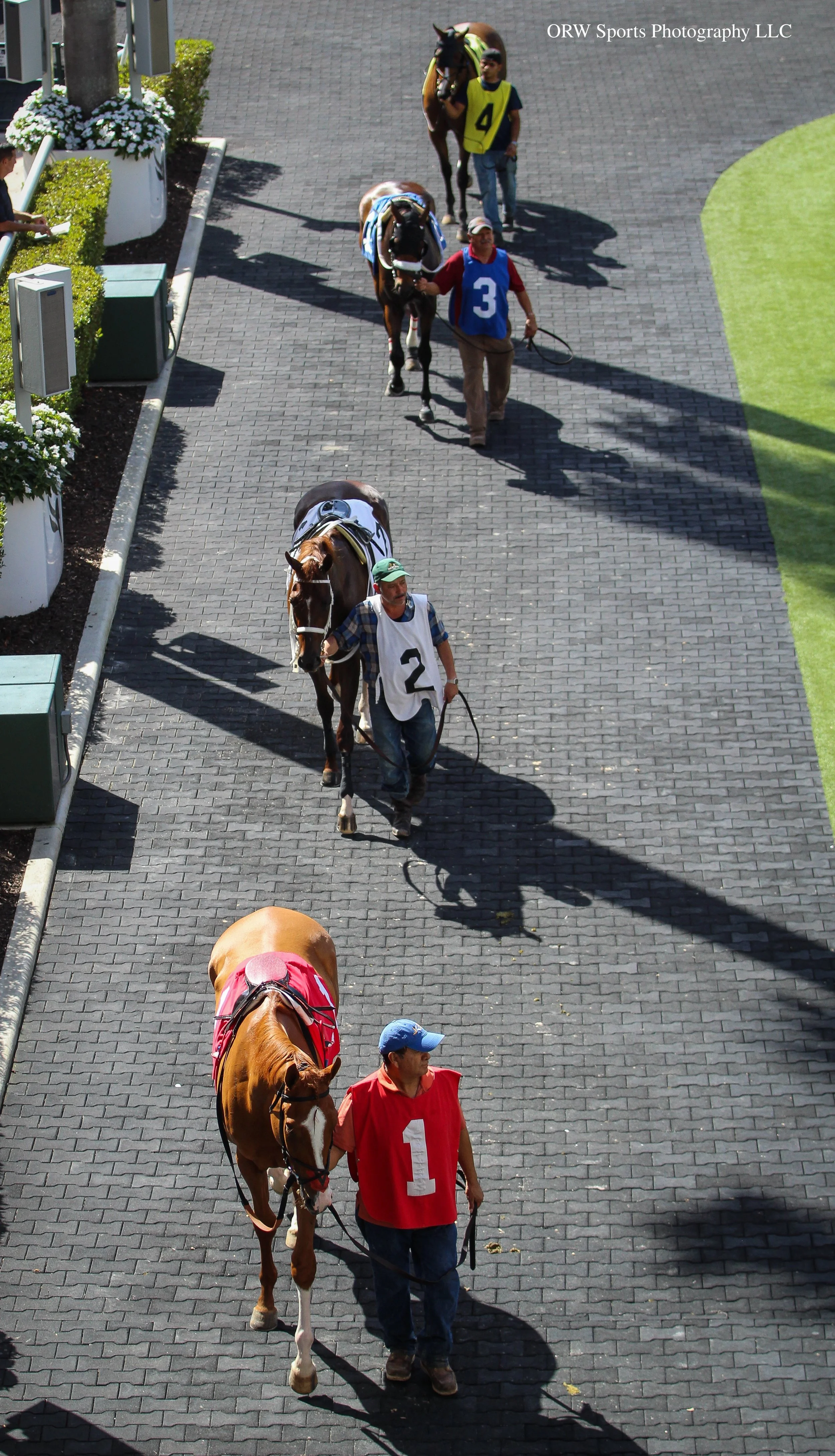 1 and 2 and 3 and 4(1).jpg