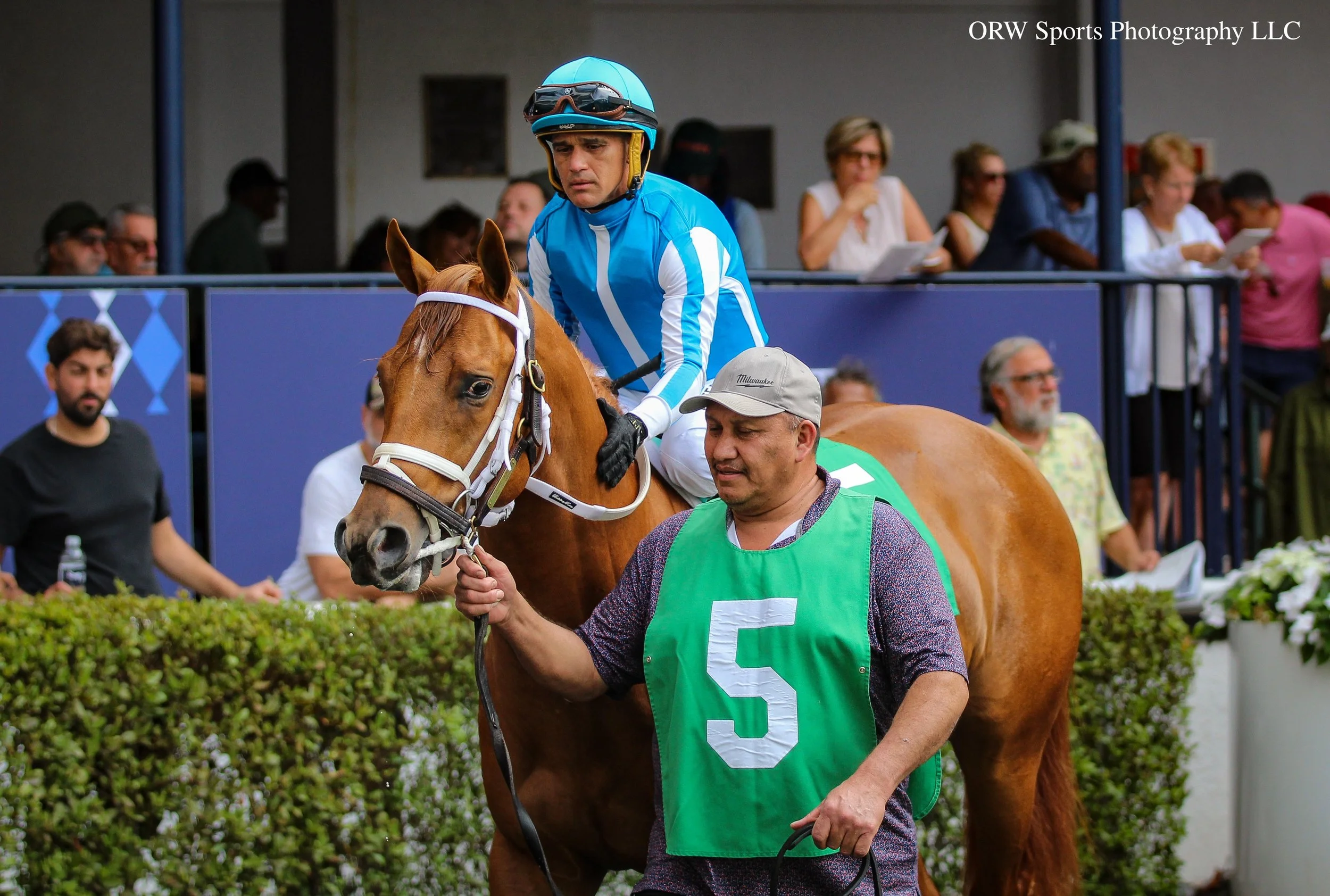 The Puma and Javier Castellano 