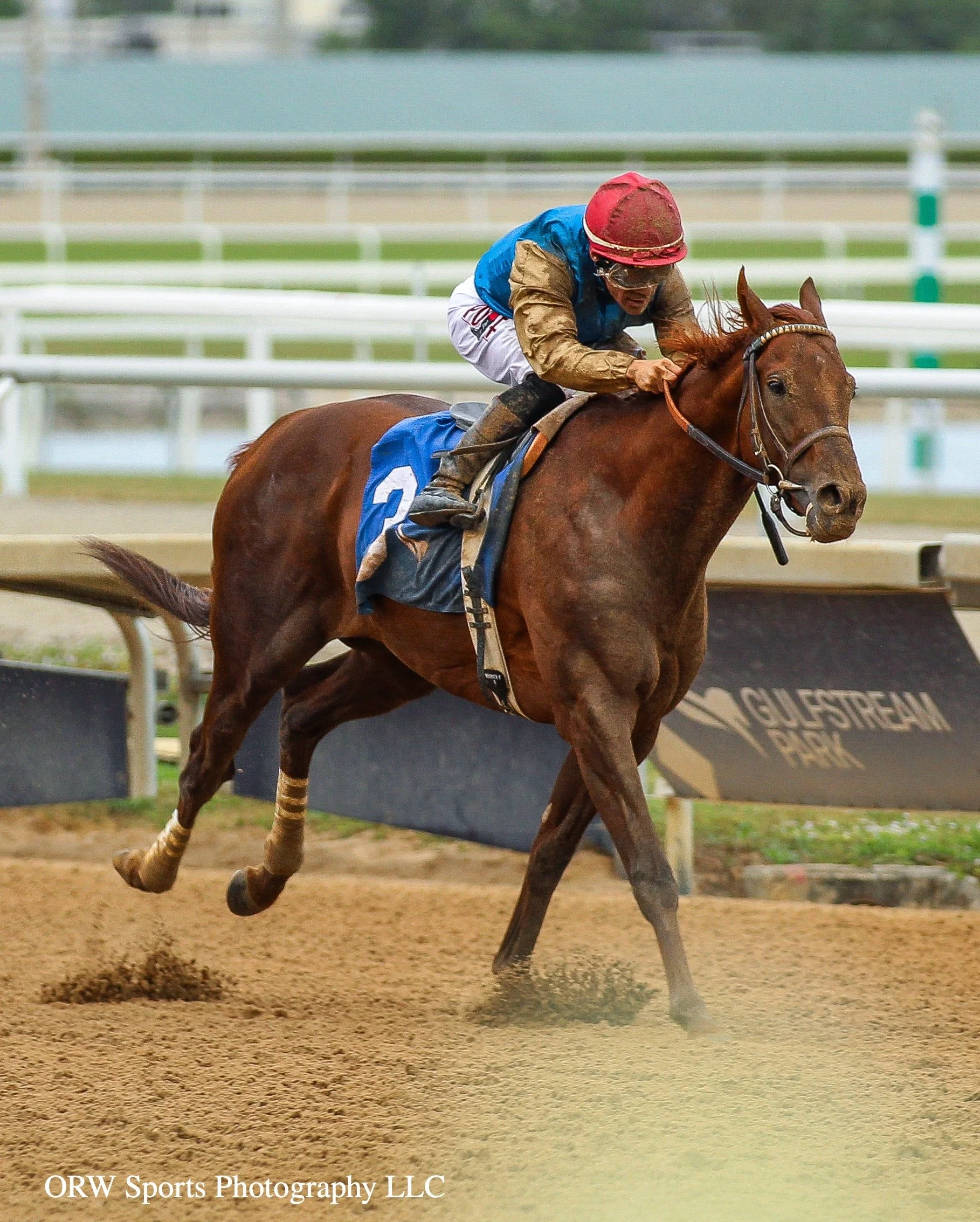 Thunderously and Junior Alvarado 