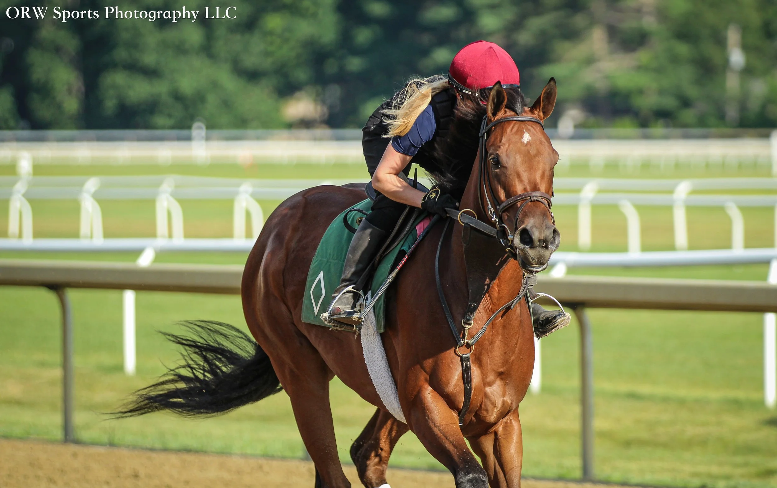 Bill Mott Trainee