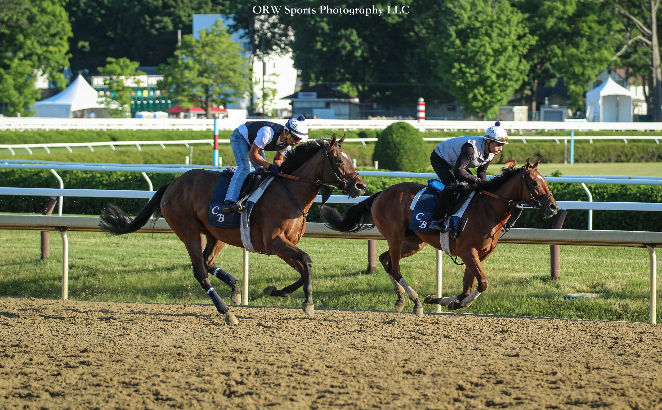 Chad Brown Trainees 