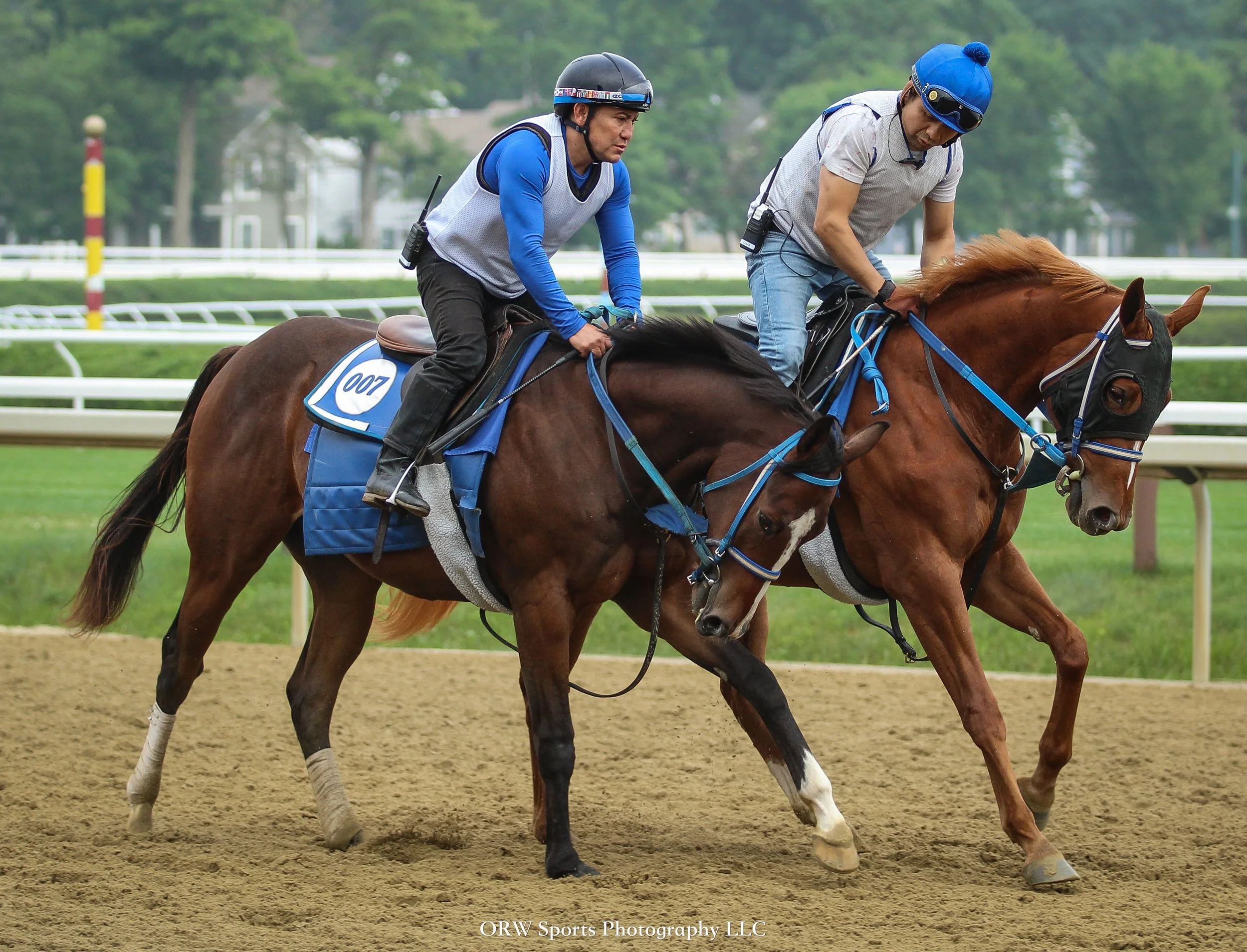 The filly out of Selezione now has a name! Here is Capraia, now trying blinkers, galloping with Off Tune '24. 