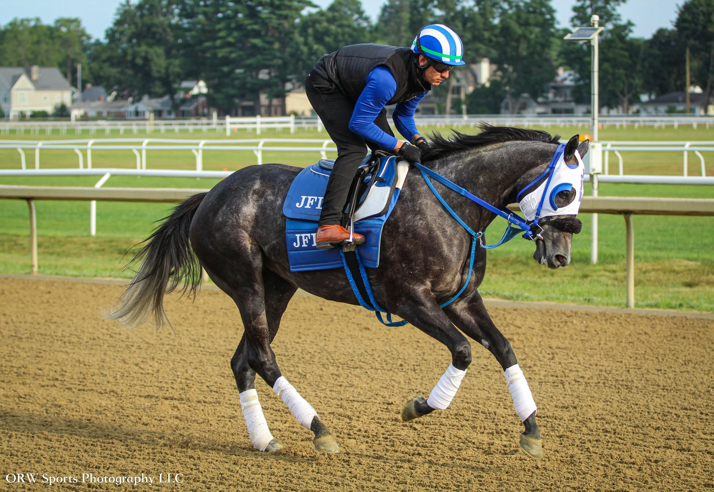 Eclipse Champion and Breeders' Cup Champion Shisospicy galloping for trainer Jose D’Angelo. 