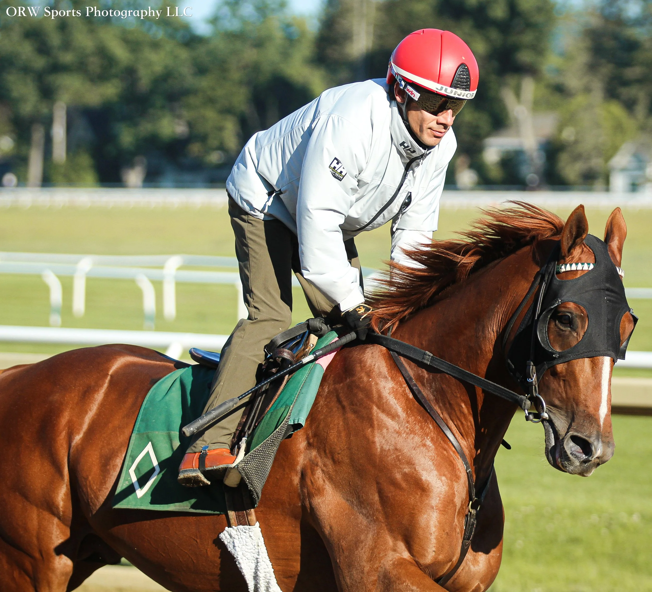 Gilded Bandit and Junior Alvarado
