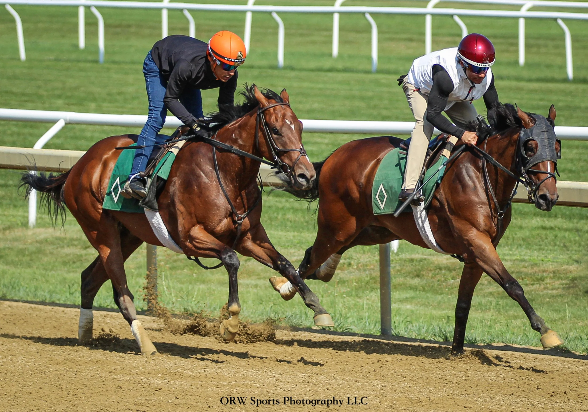 Elevated worked 48:00 flat out of the gate today in company with Judy’s Rockette. 