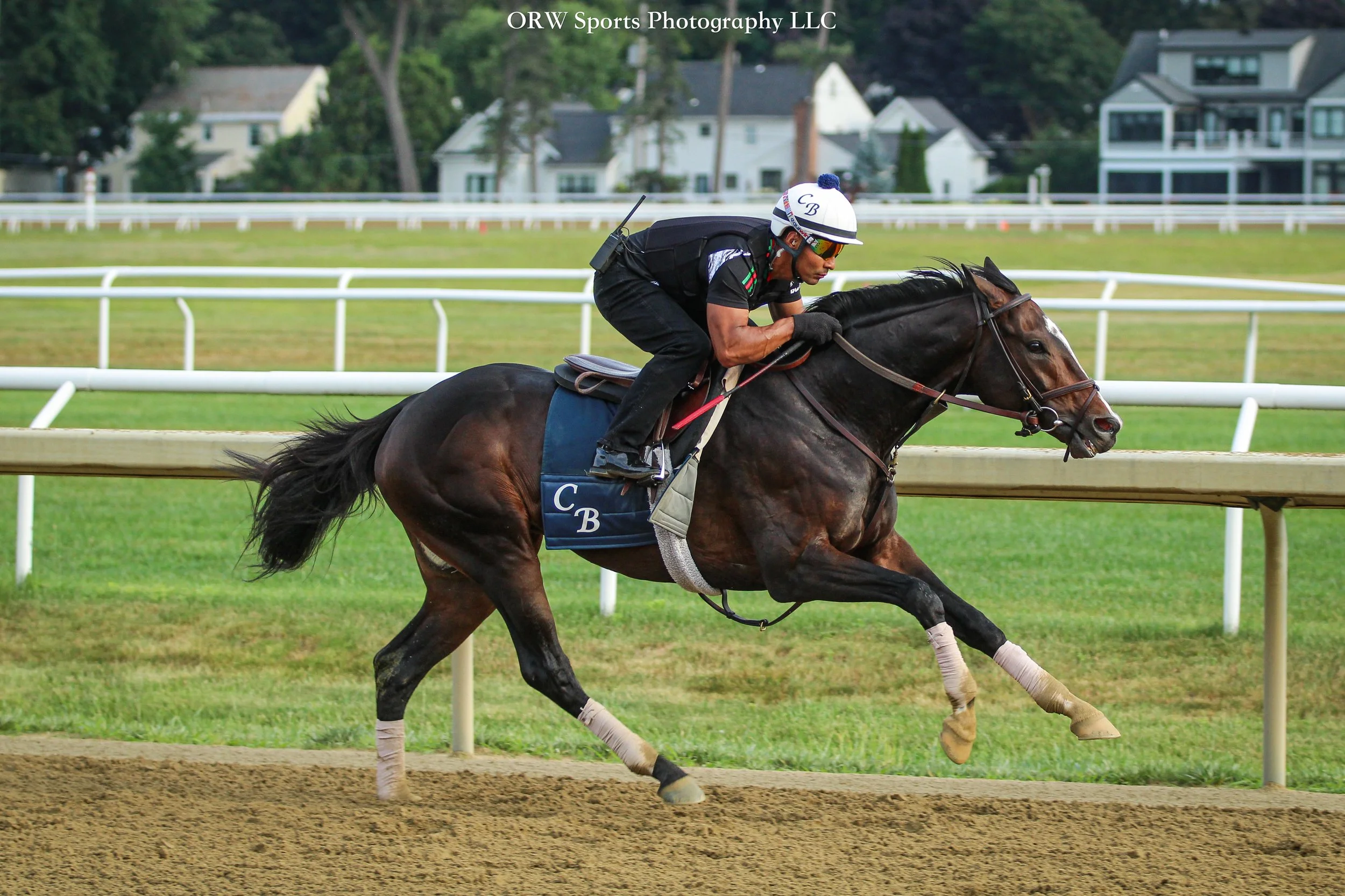 Chad Brown trainee
