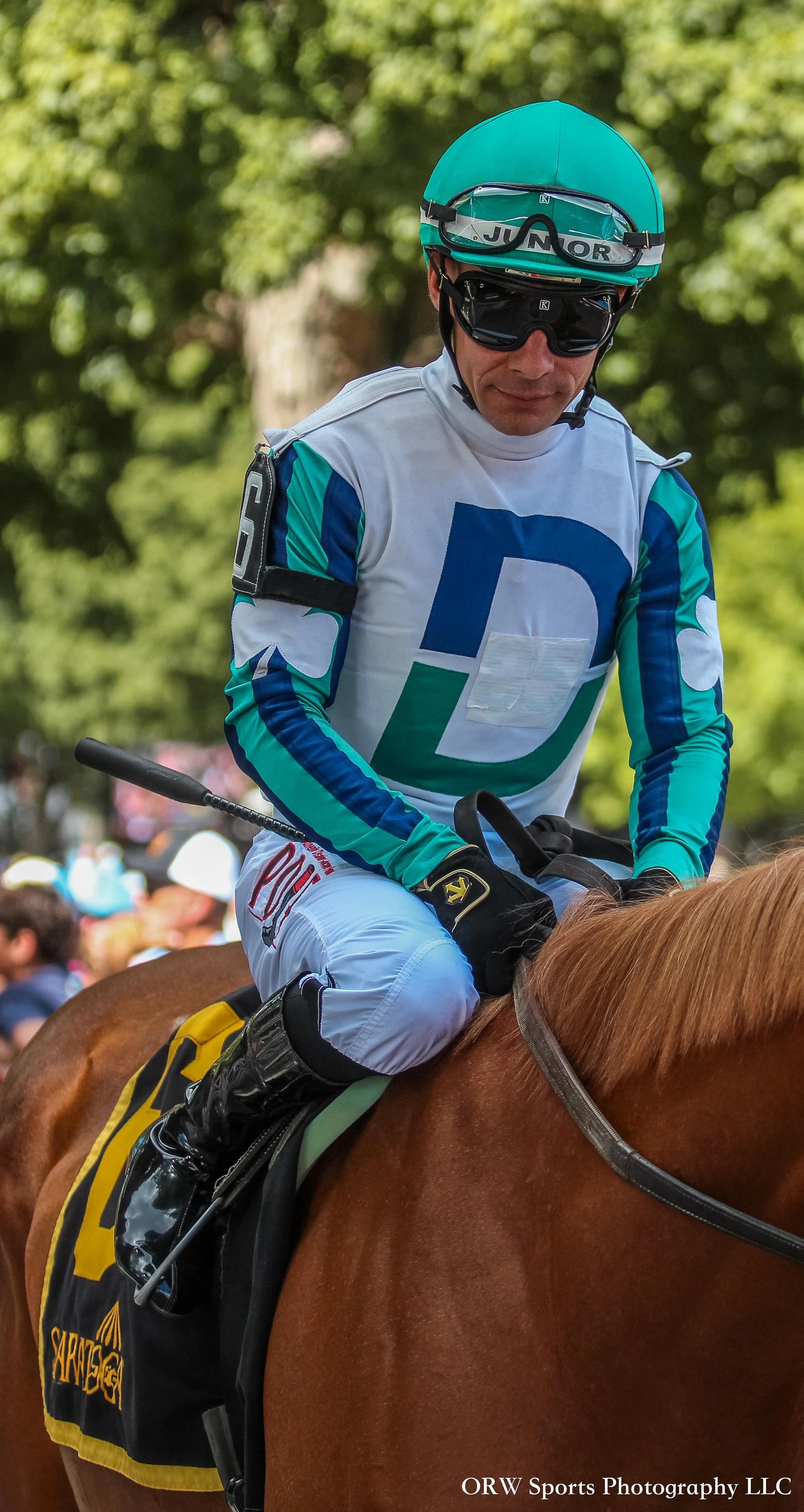 Junior Alvarado {DeSales Eighty-Five} 