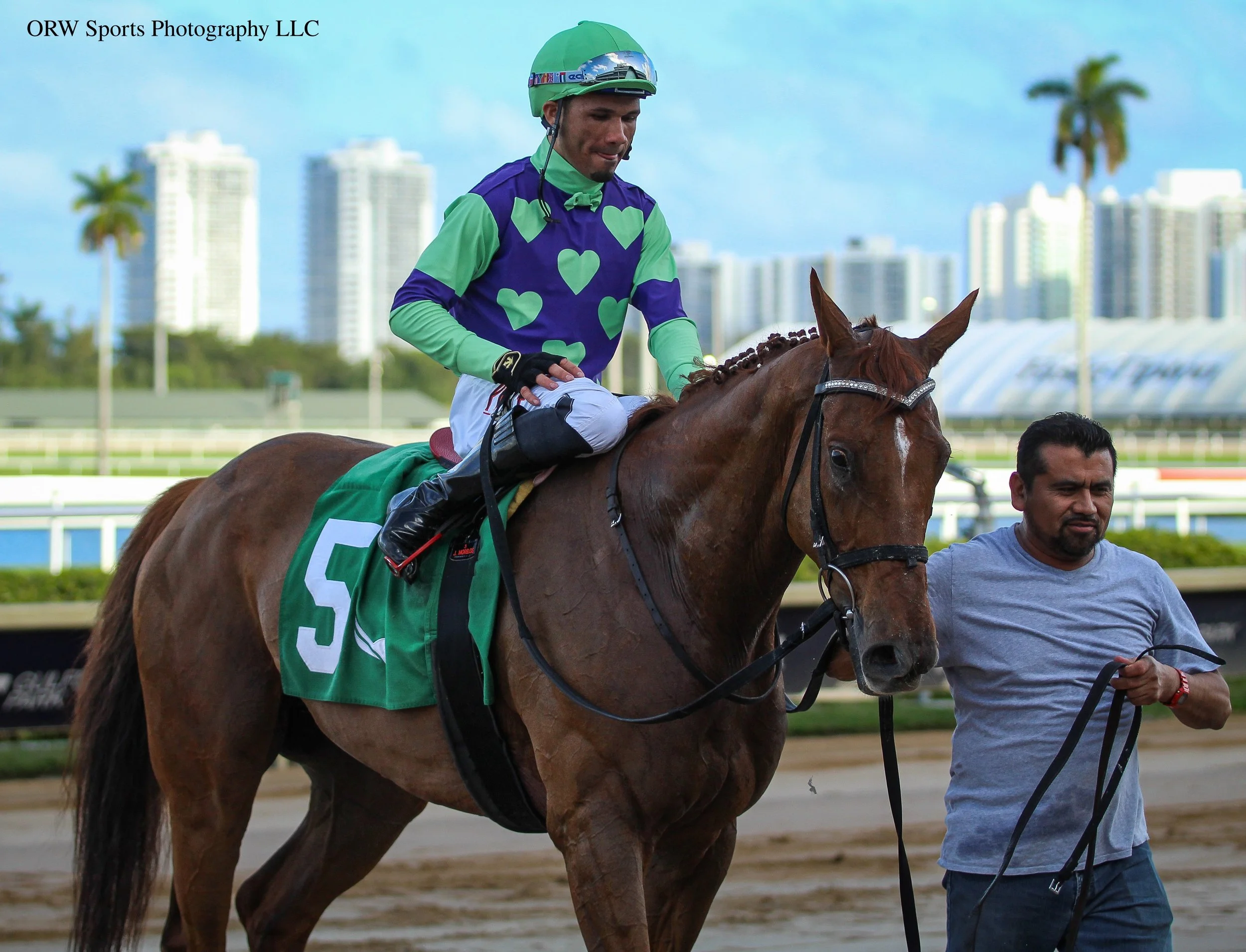 Rock the Stars and Jose Morelos. Your race winners. 