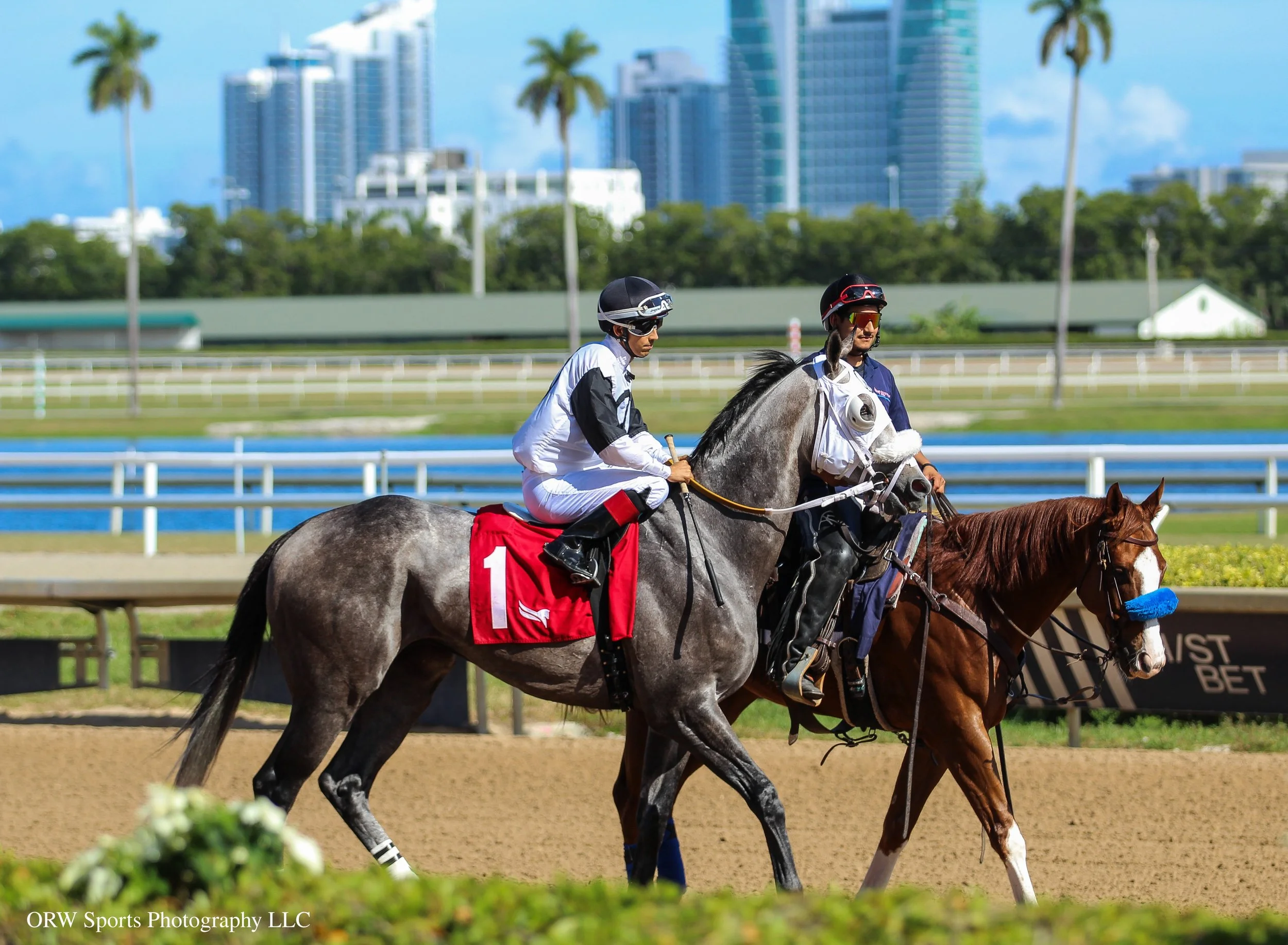 Risk Factor and Edgard Zayas 