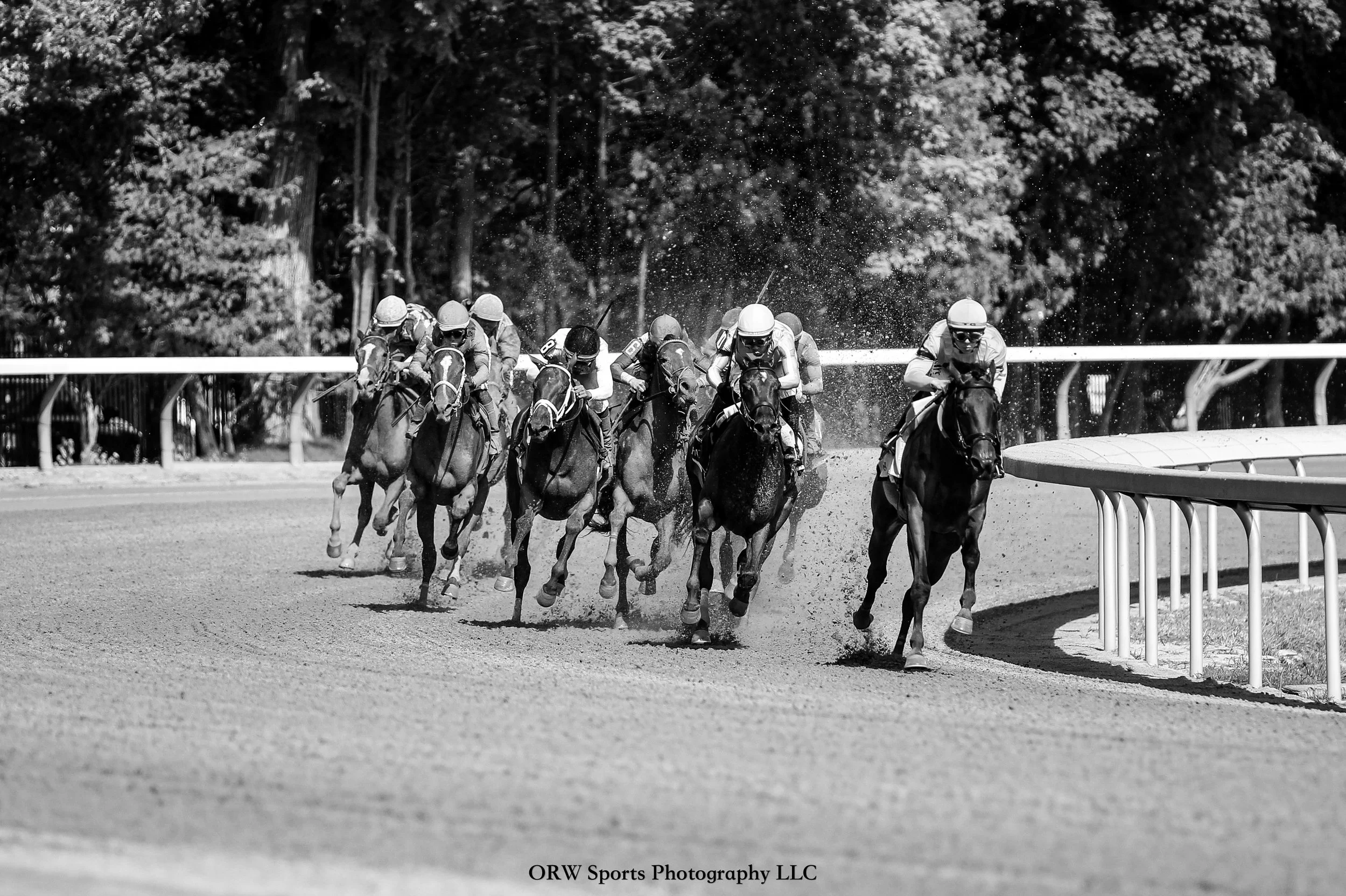 Race 6 