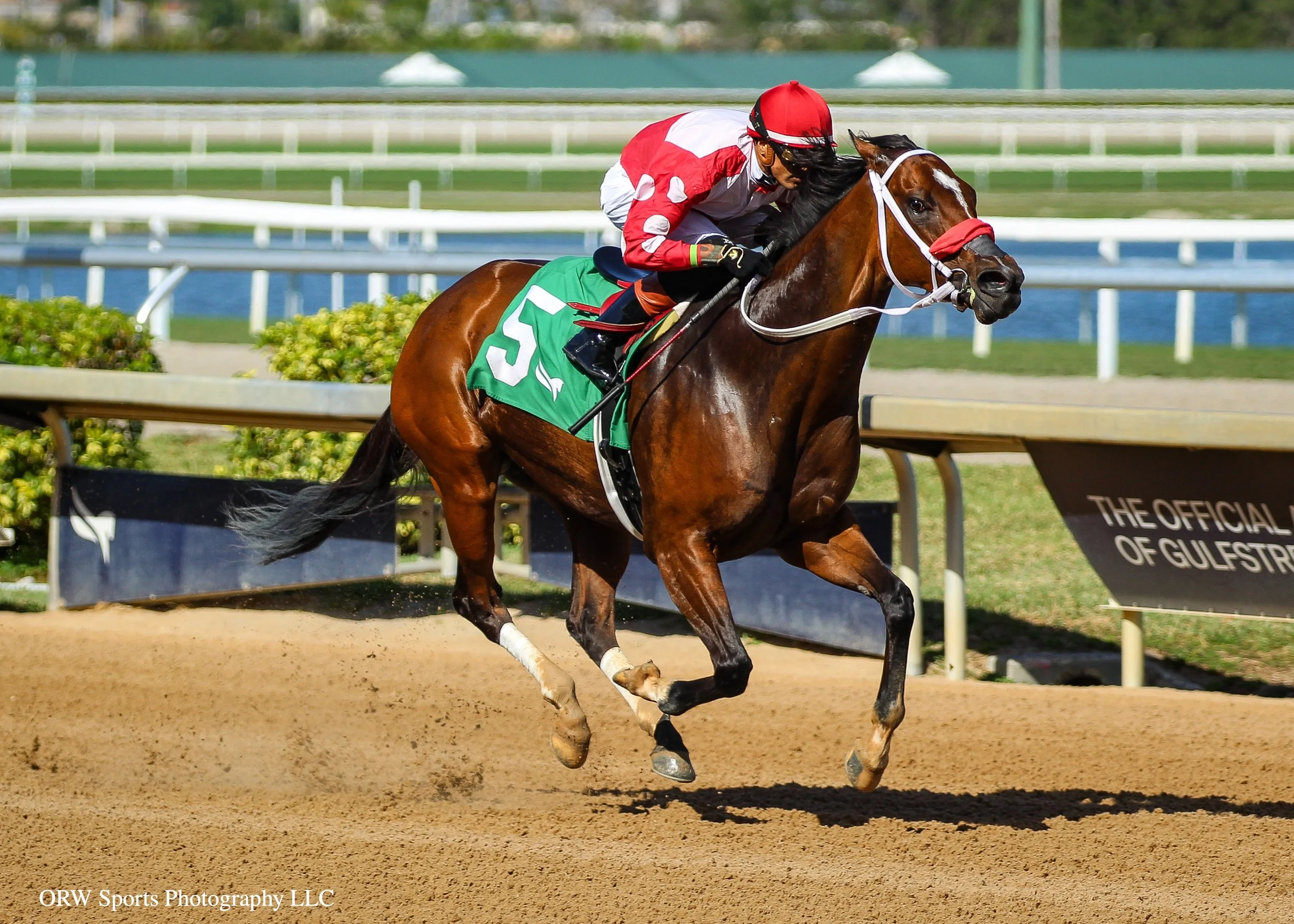 Beautiful Bolt and Edwin Gonzalez 