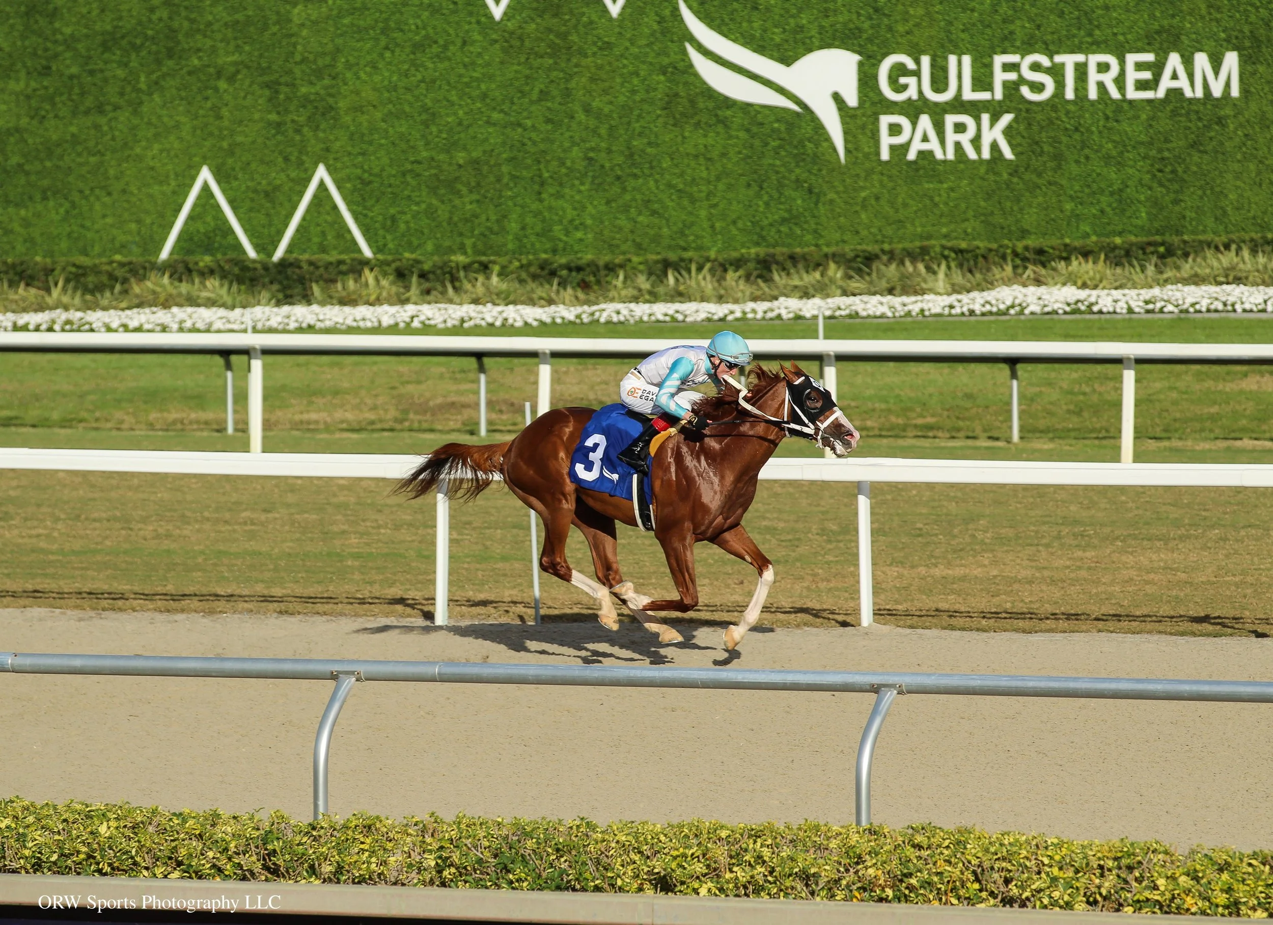 Manoah's Glory and David Egan 