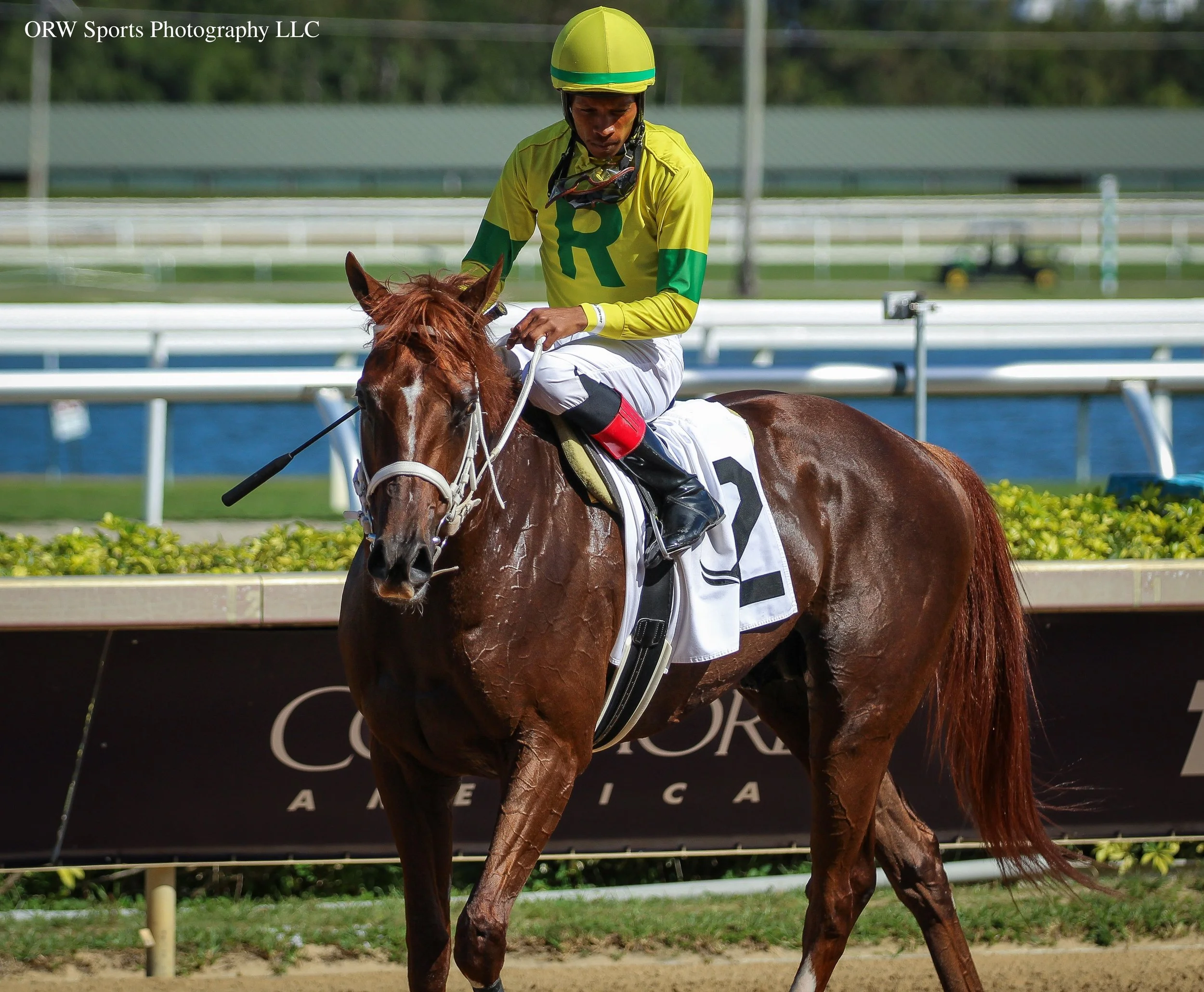 Ababajoni and Anthony Thomas (4).jpg