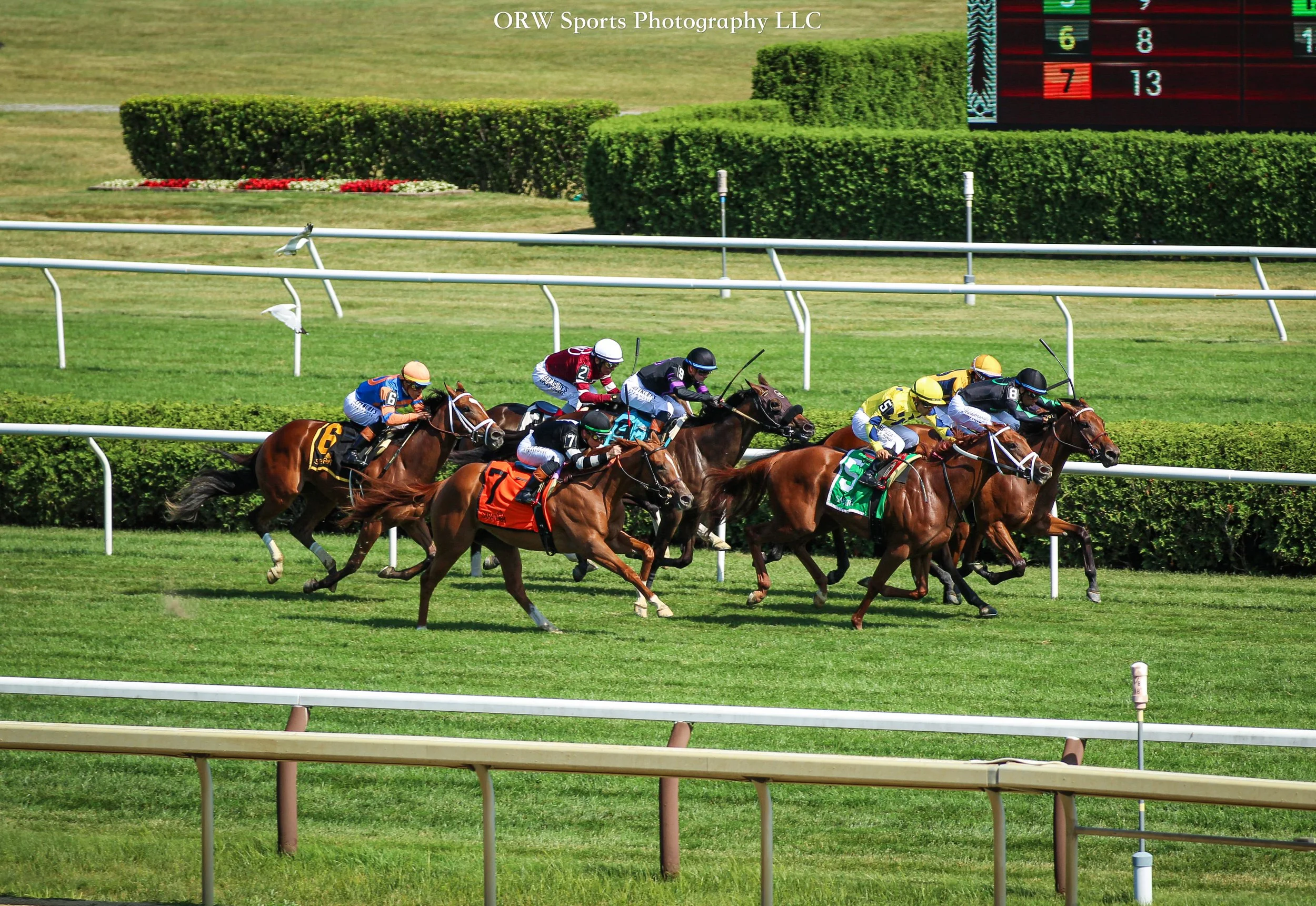 Race 6 