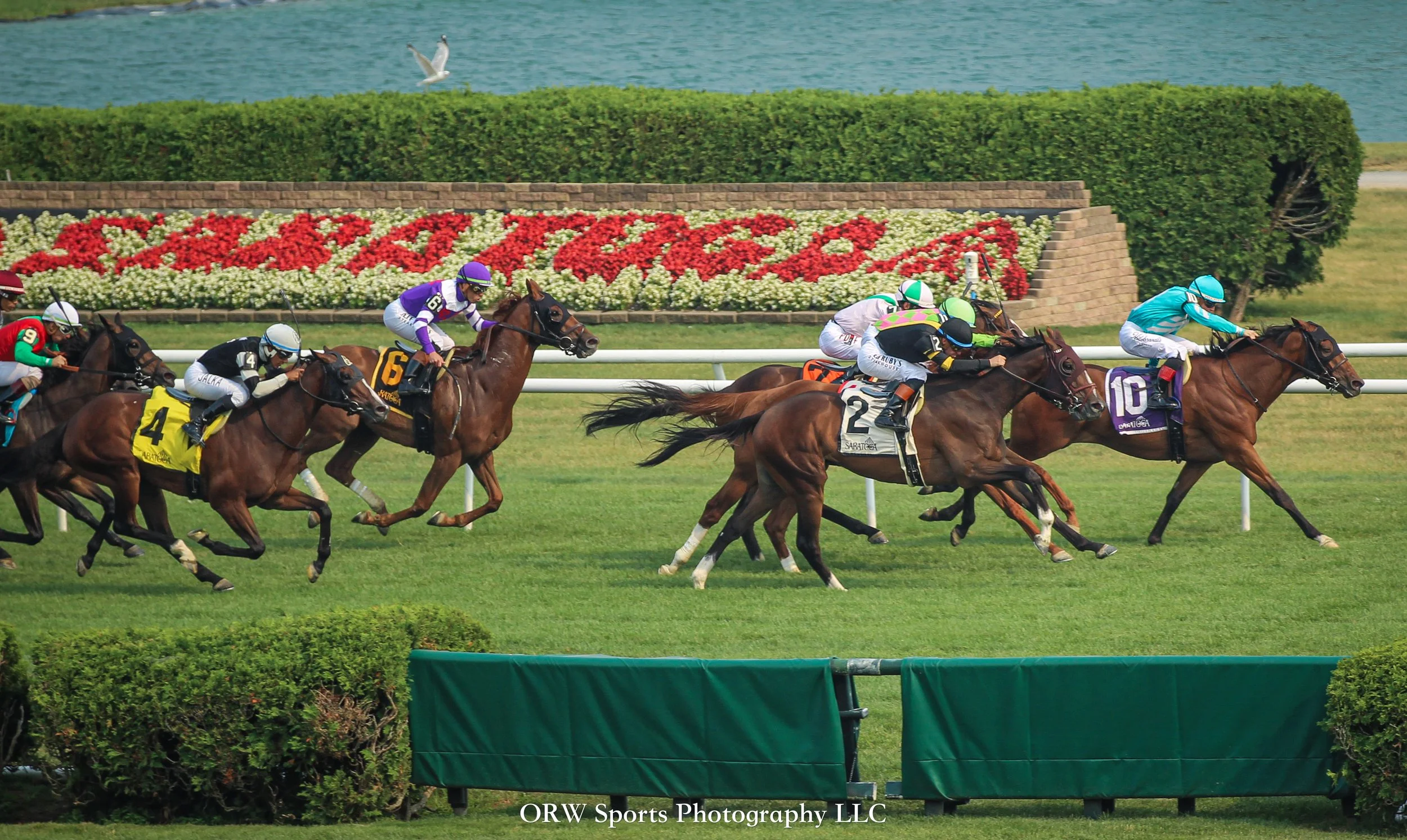 Race 7 