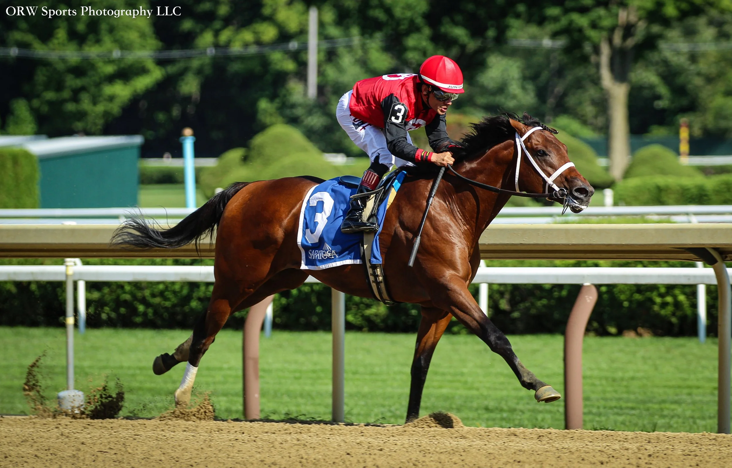 Q B Rocket and Junior Alvarado 