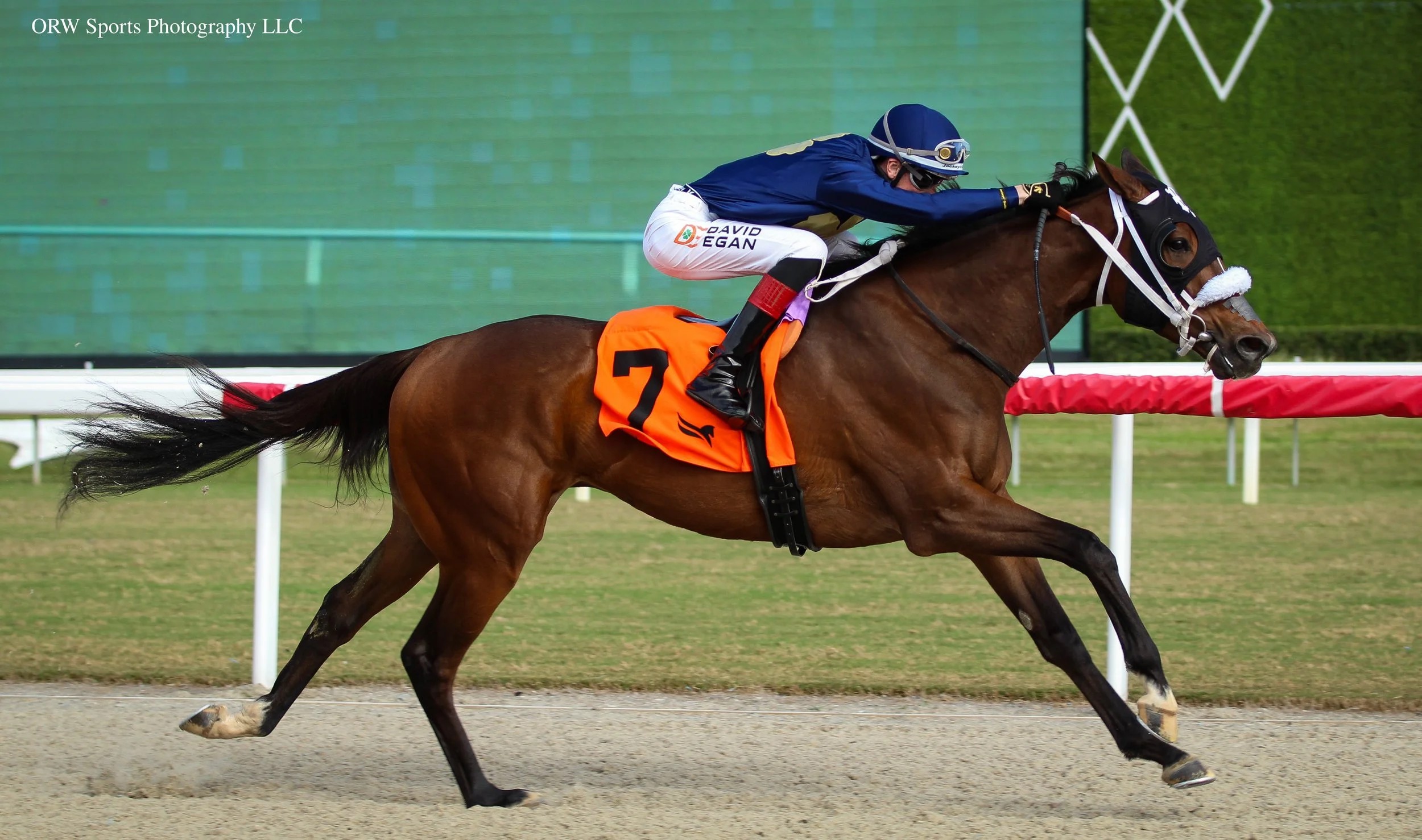 Try to Make Cents and David Egan 