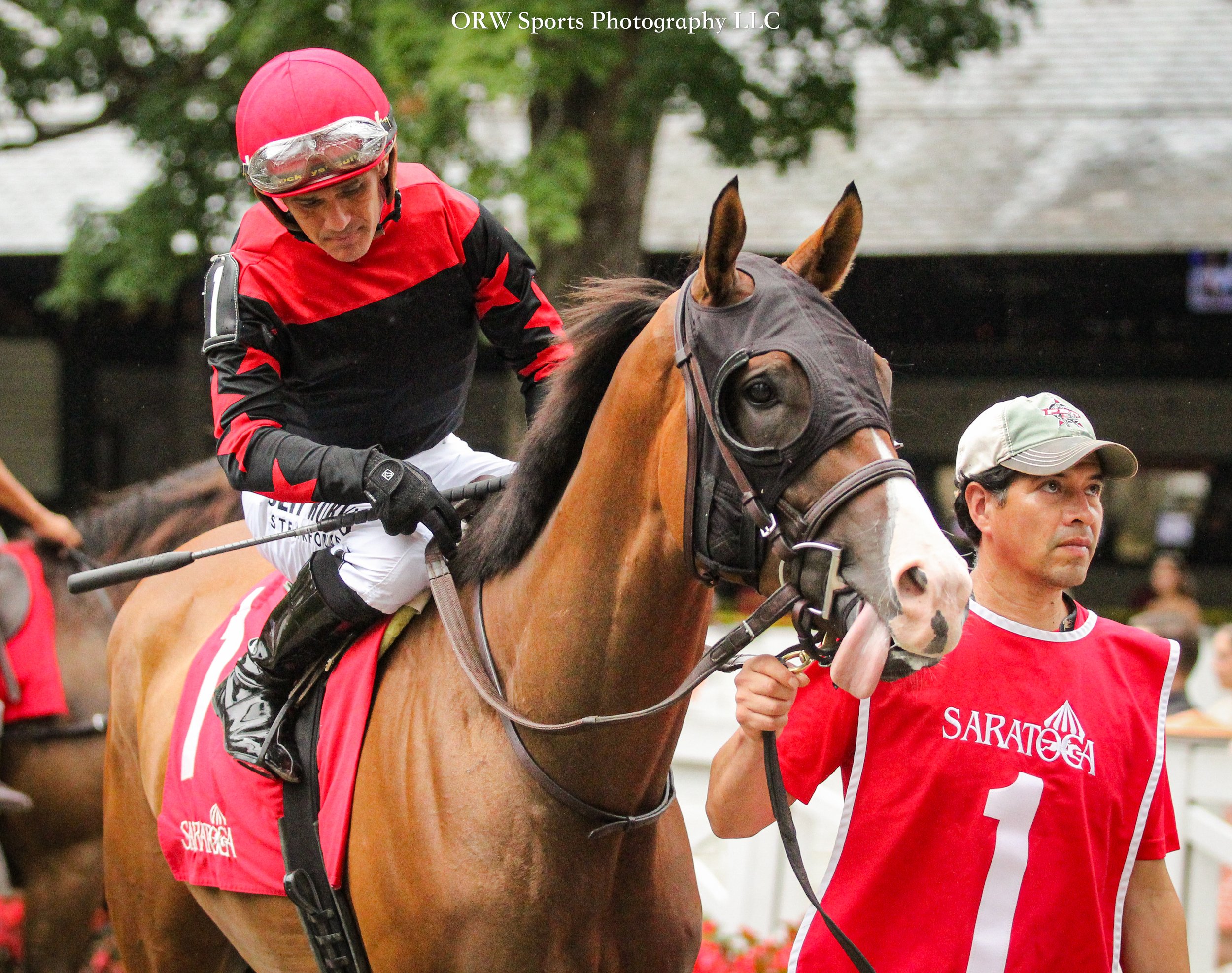 Rebel With a Cause and Javier Castellano 
