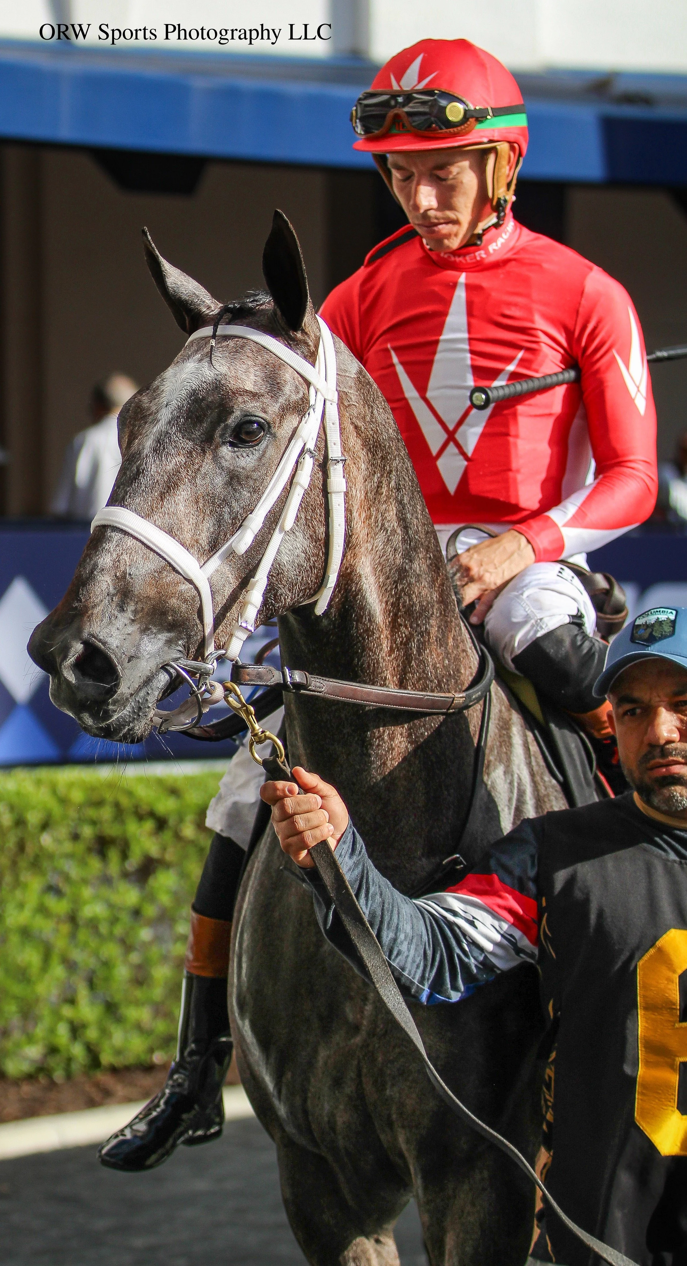 Skipping Stars and Tyler Gaffalione 