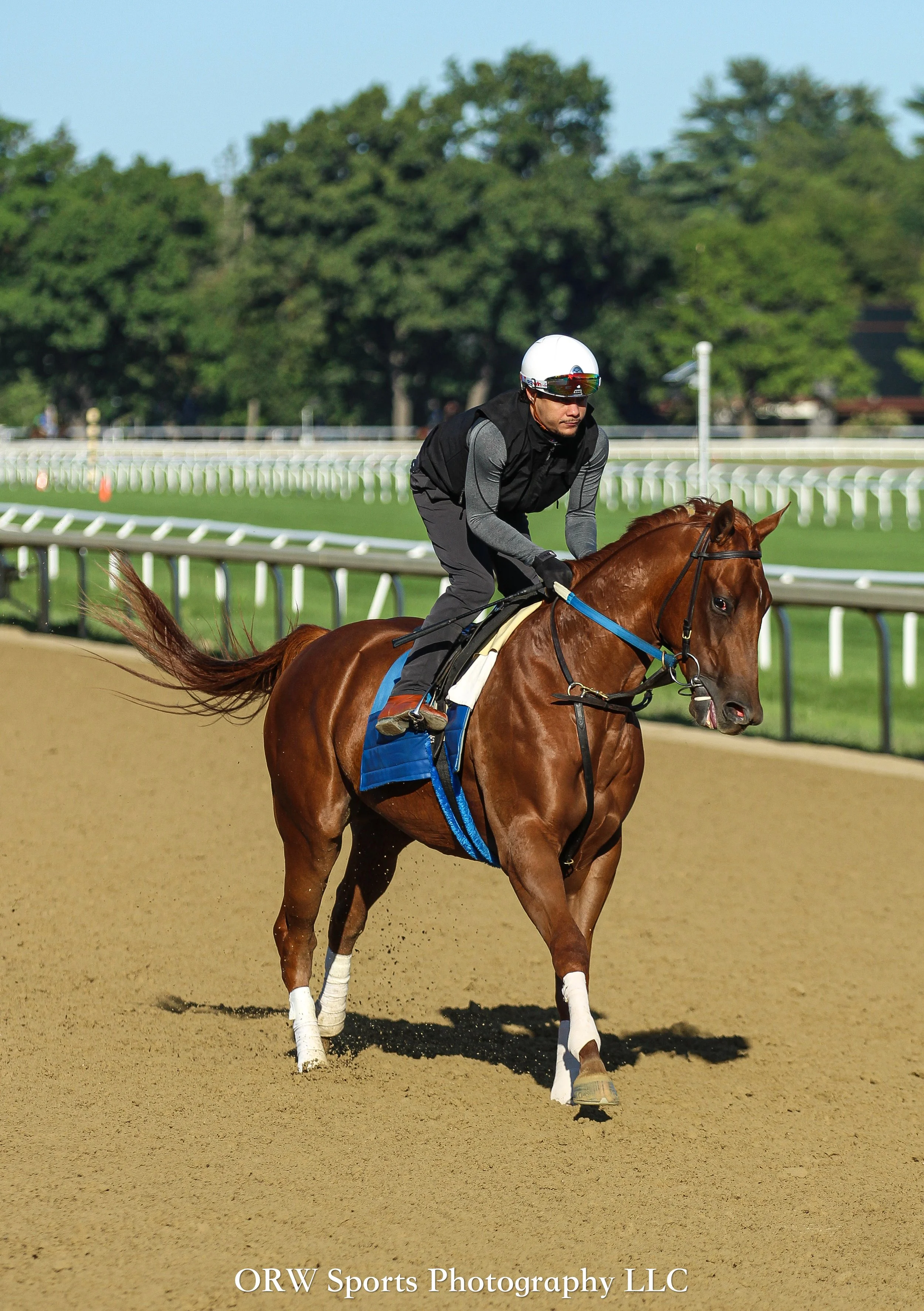 Asmussen Trainee (14) .jpg
