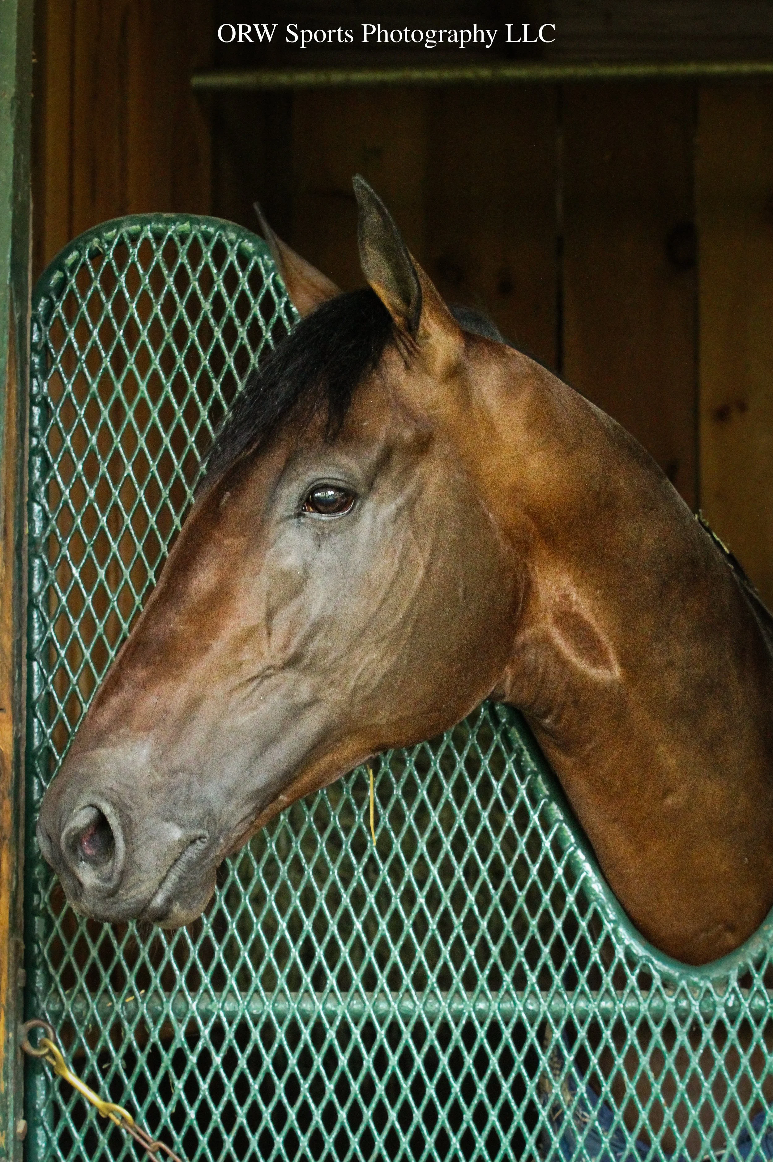 Baeza. After the unfortunate passing of trainer John Shireffs, the colt was moved East into the barn of Bill Mott. He was third last time out in the Grade 2 Alysheba Stakes. 