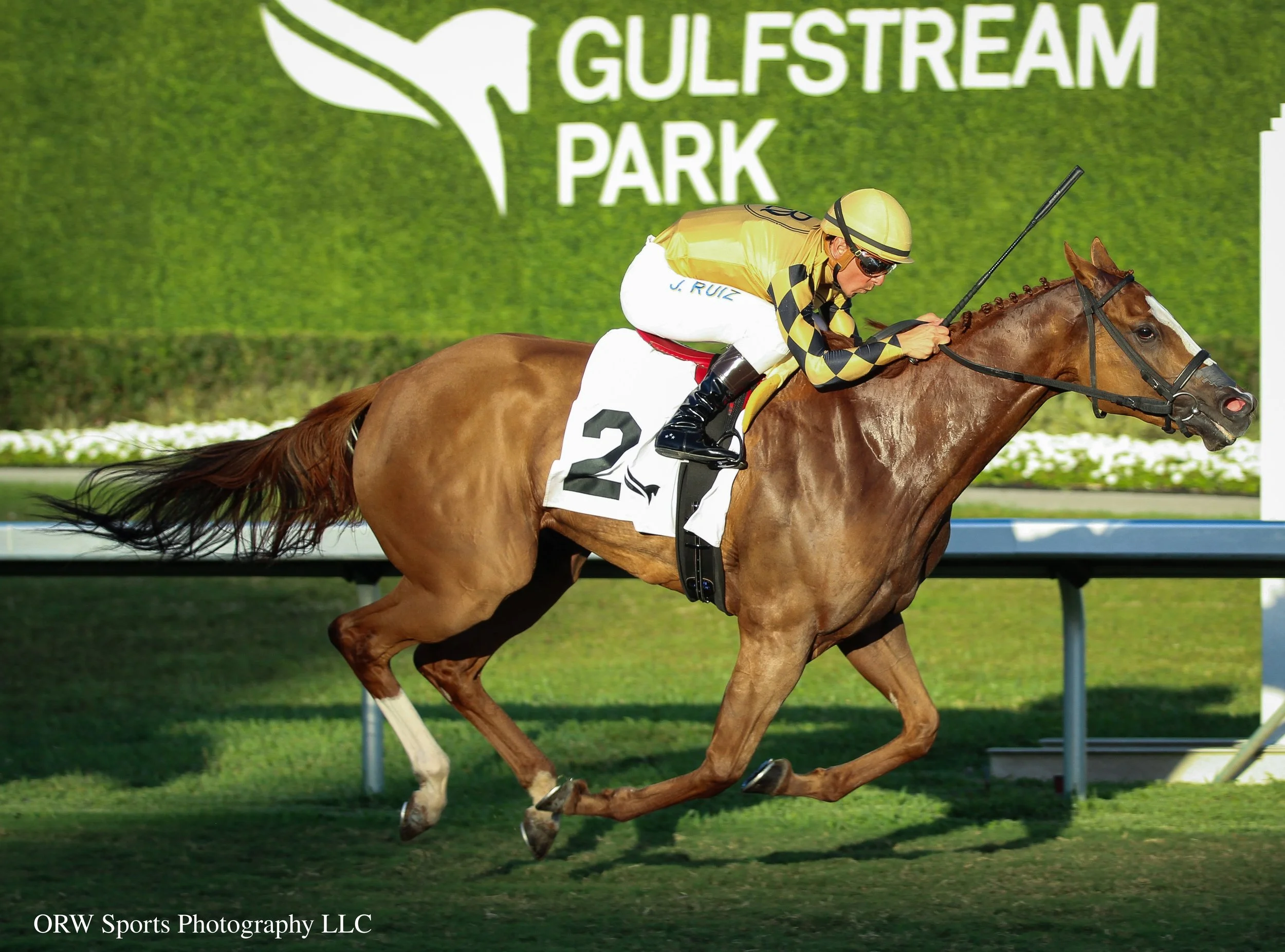 To a Flame and Jorge Ruiz 