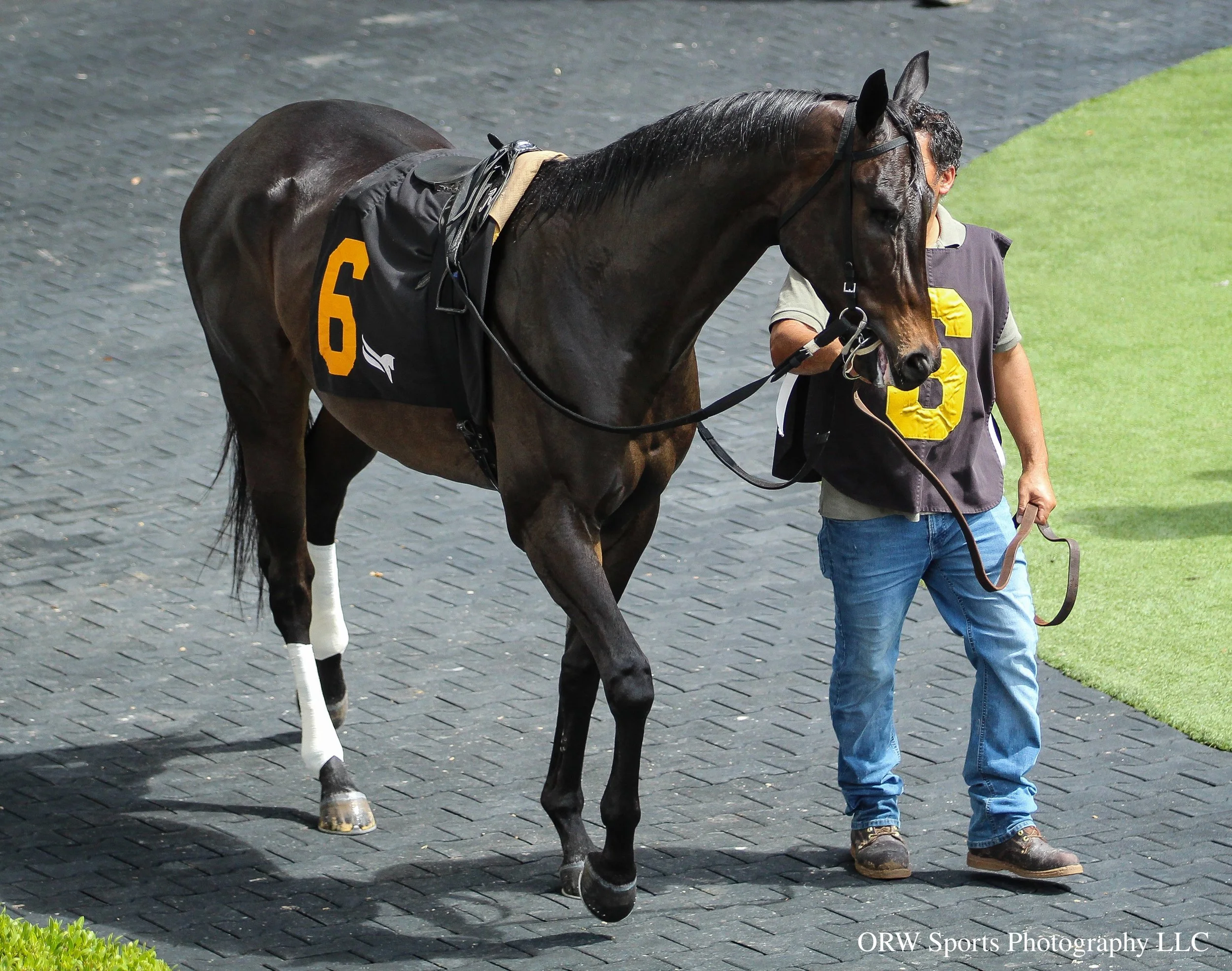 Final Payment. 
No, he does not have an eye in that socket. Some racehorses can lose an eye due to an injury or infection, but they can manage well with just one. In races, depending on the horse, they will wear blinkers that fully cover the empty so