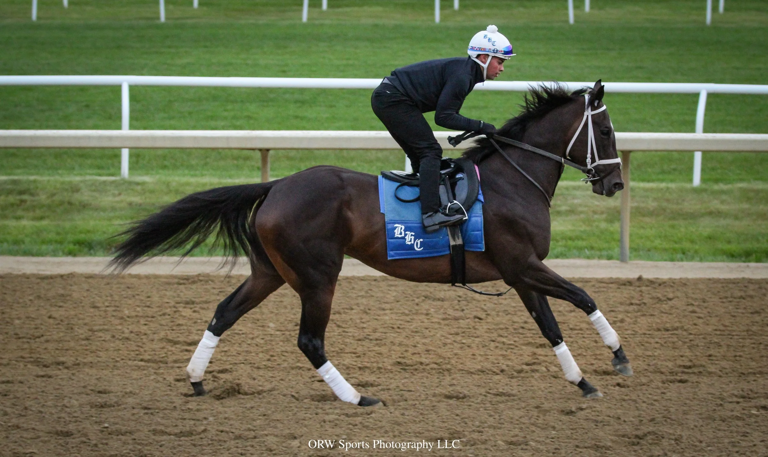 Brad Cox Trainee