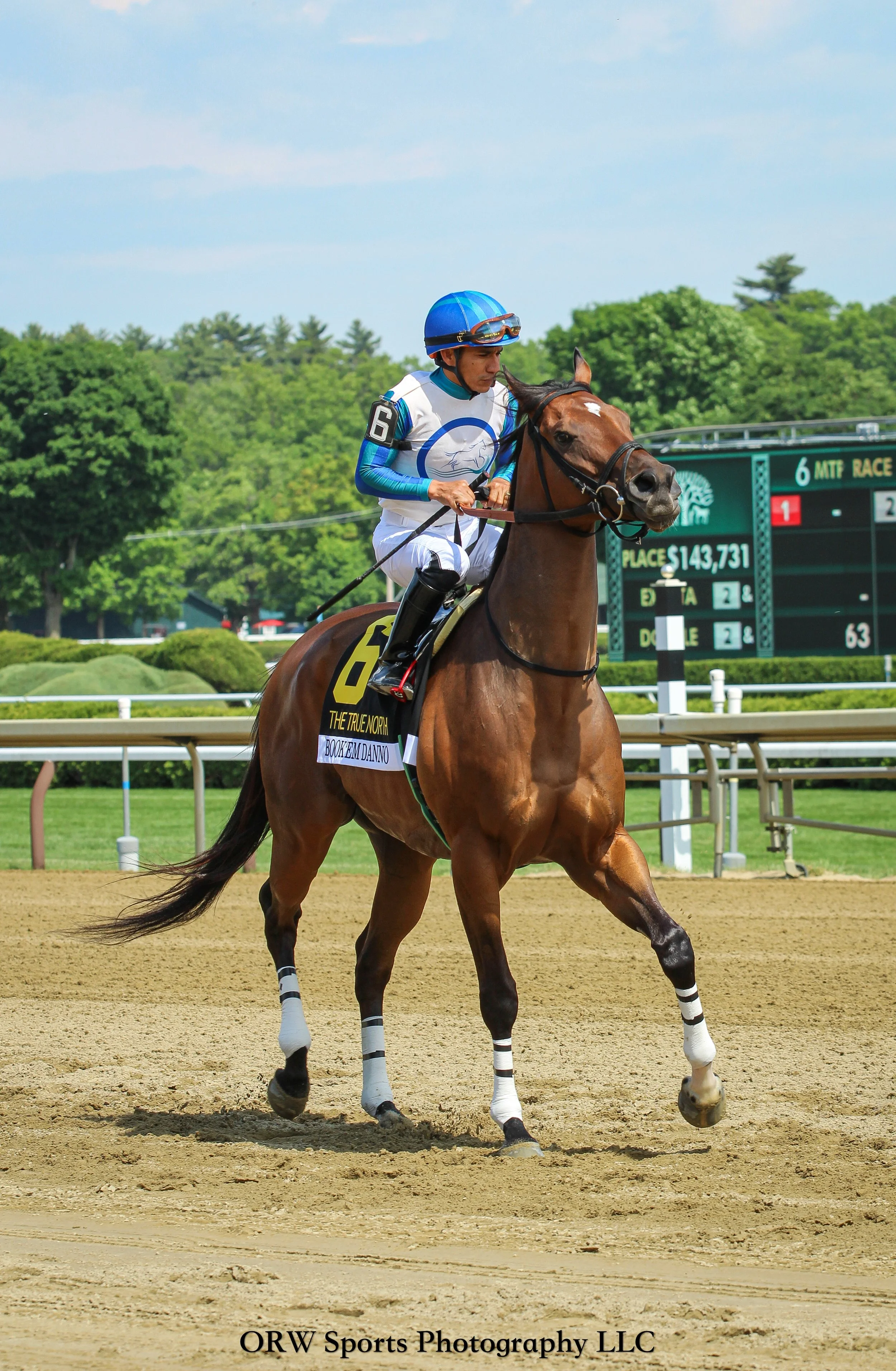 Book'em Danno puts the pep in his step before the Grade 2 True North Stakes. 