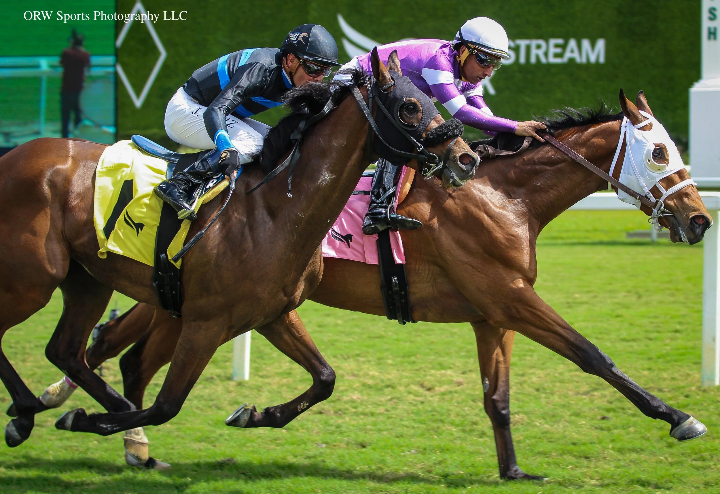 Overseer gets the win over Swamp Fox at odds of 30-1 