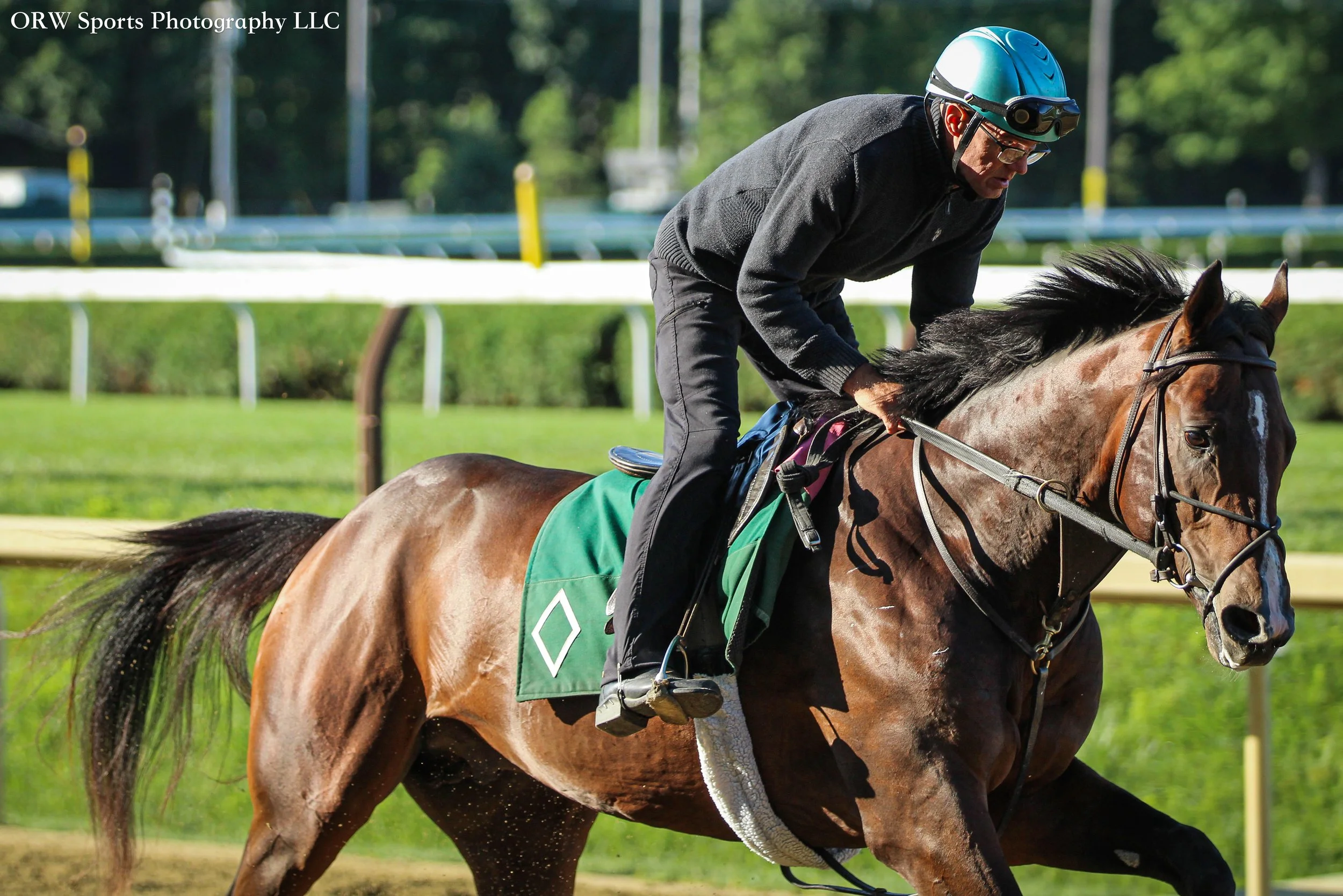 Bill Mott Trainee