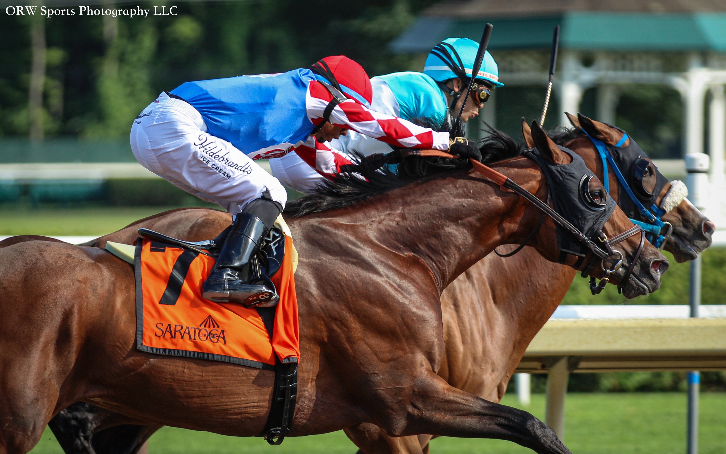 "Seeing Double" (Judge Boushay and Sunday Boy) 