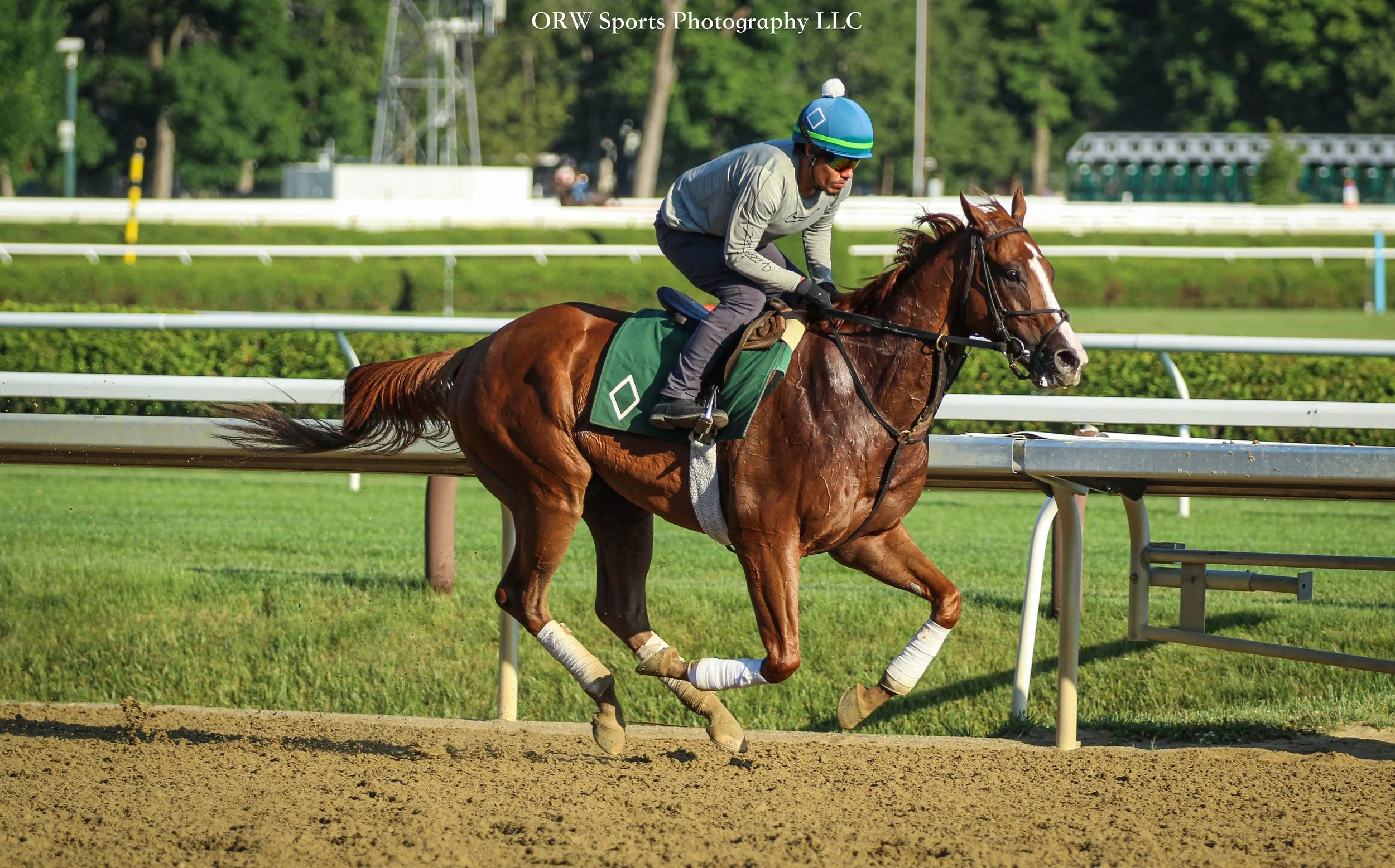 Bill Mott Trainee