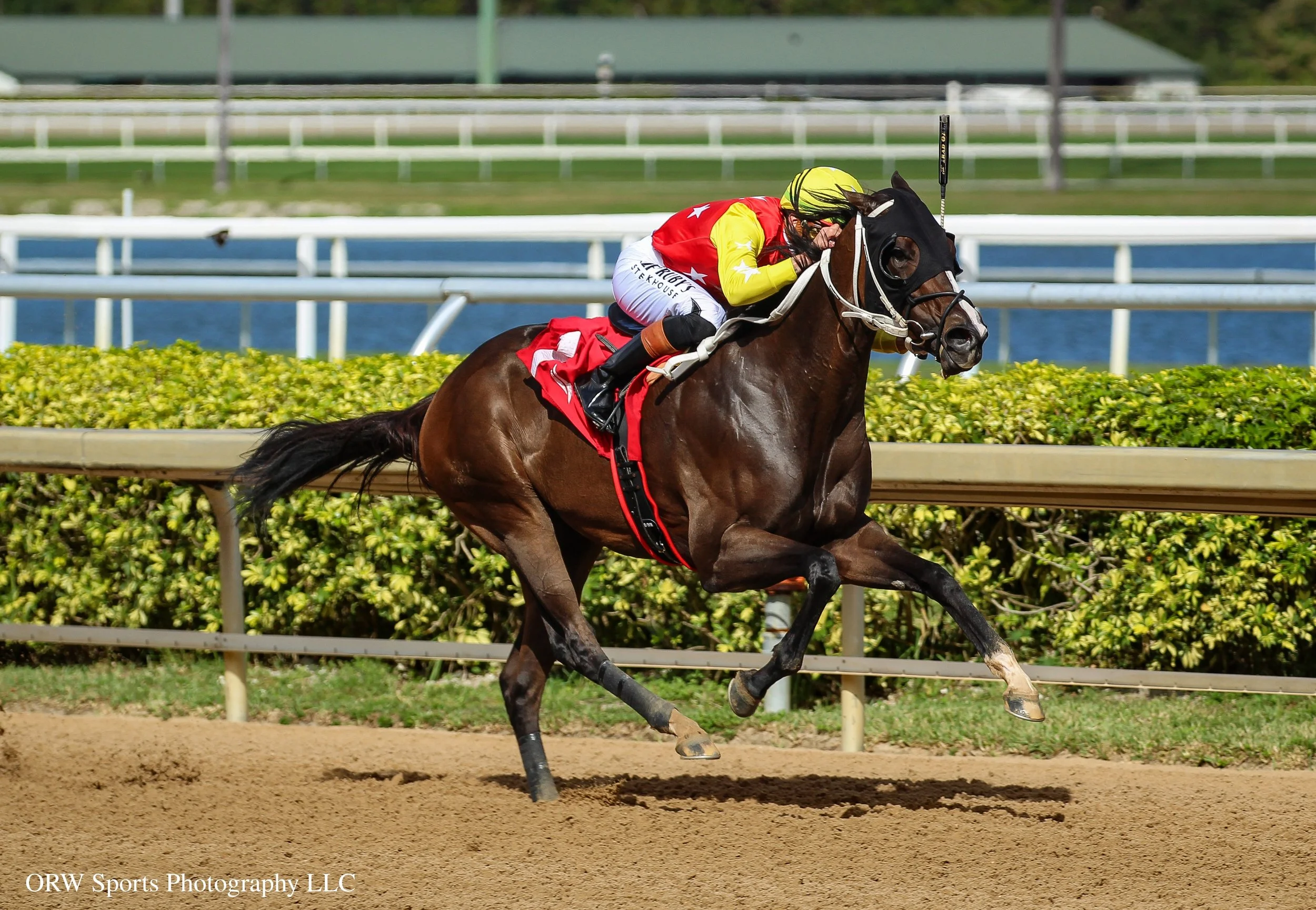 Slew Diva and Irad Ortiz Jr 