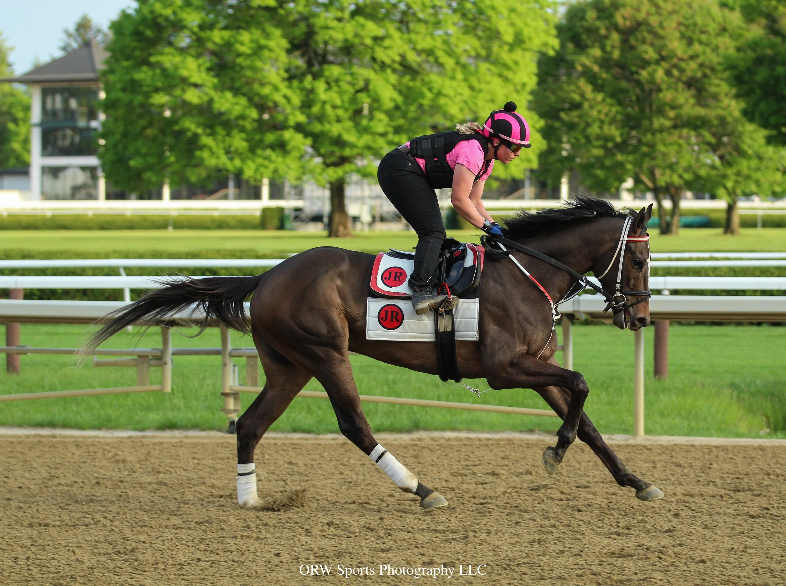 Robert Falcone trainee