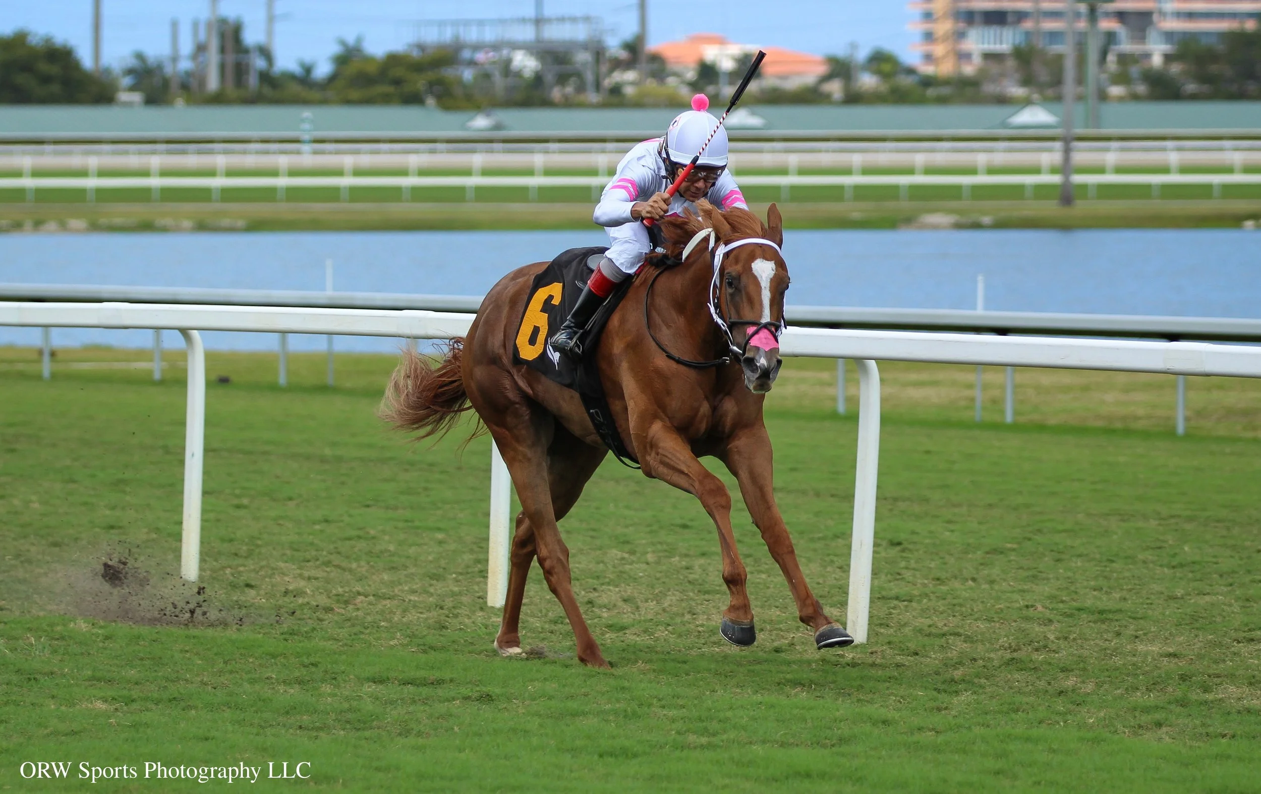 Oscar Bound and Shaun Bridgmohan 