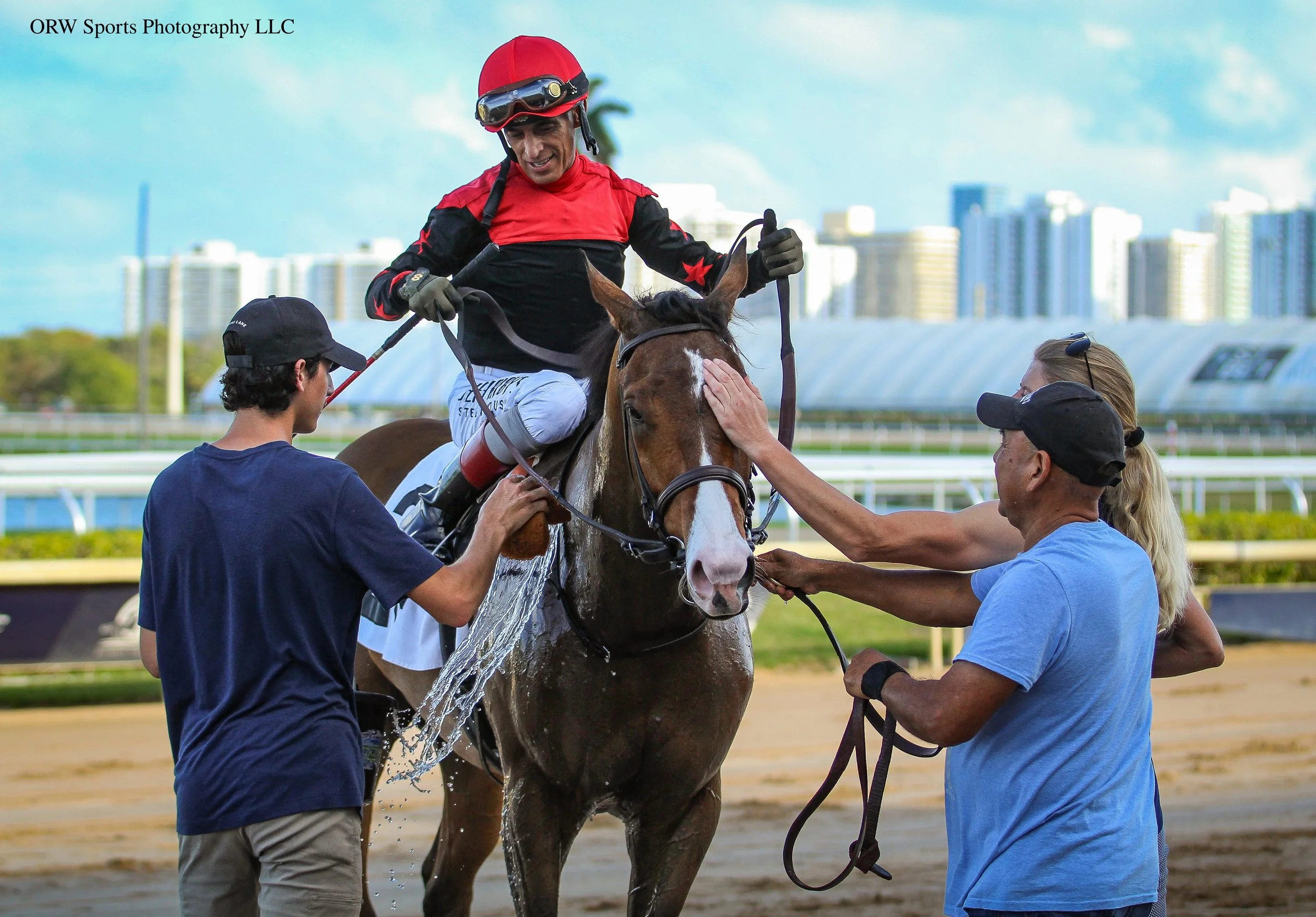 Rebel With a Cause and Connections (3).jpg