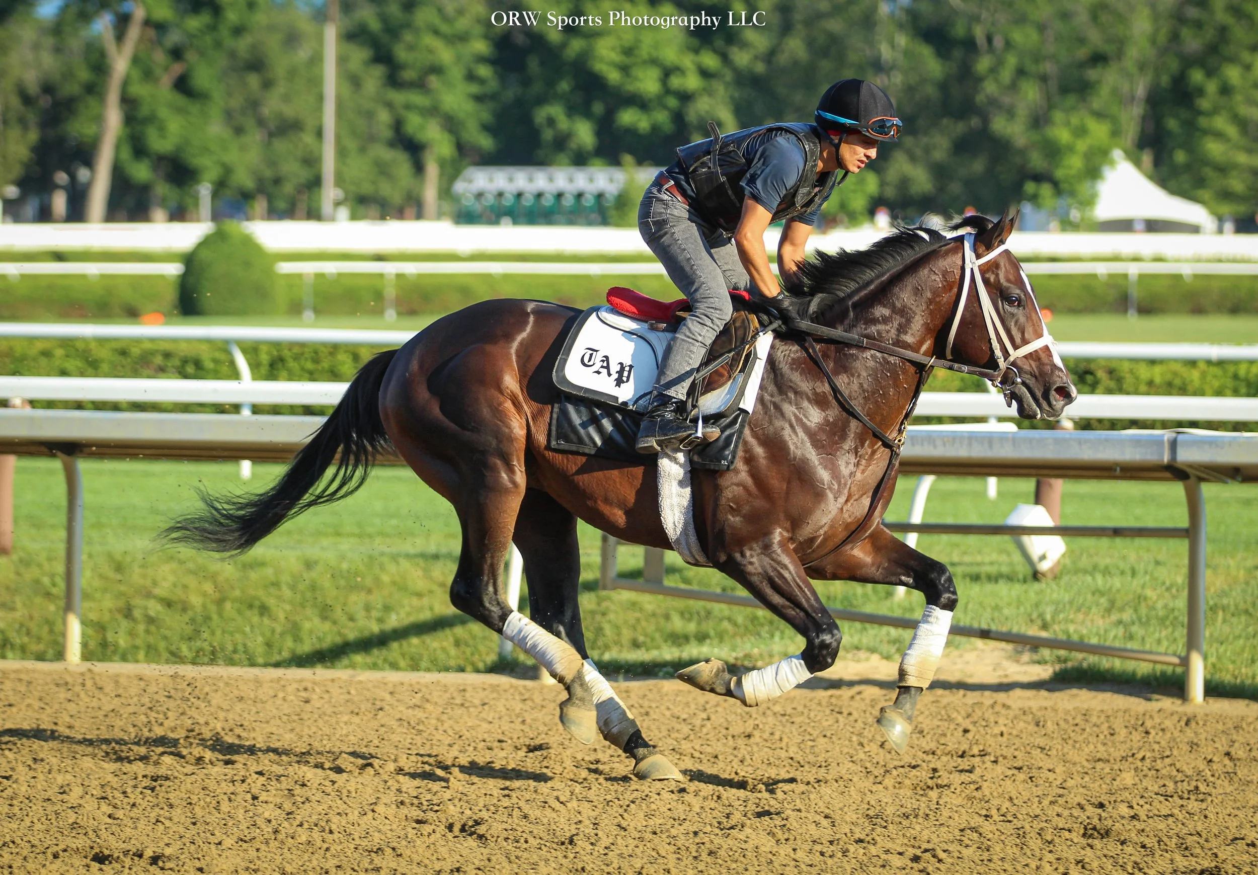 Todd Pletcher Trainee