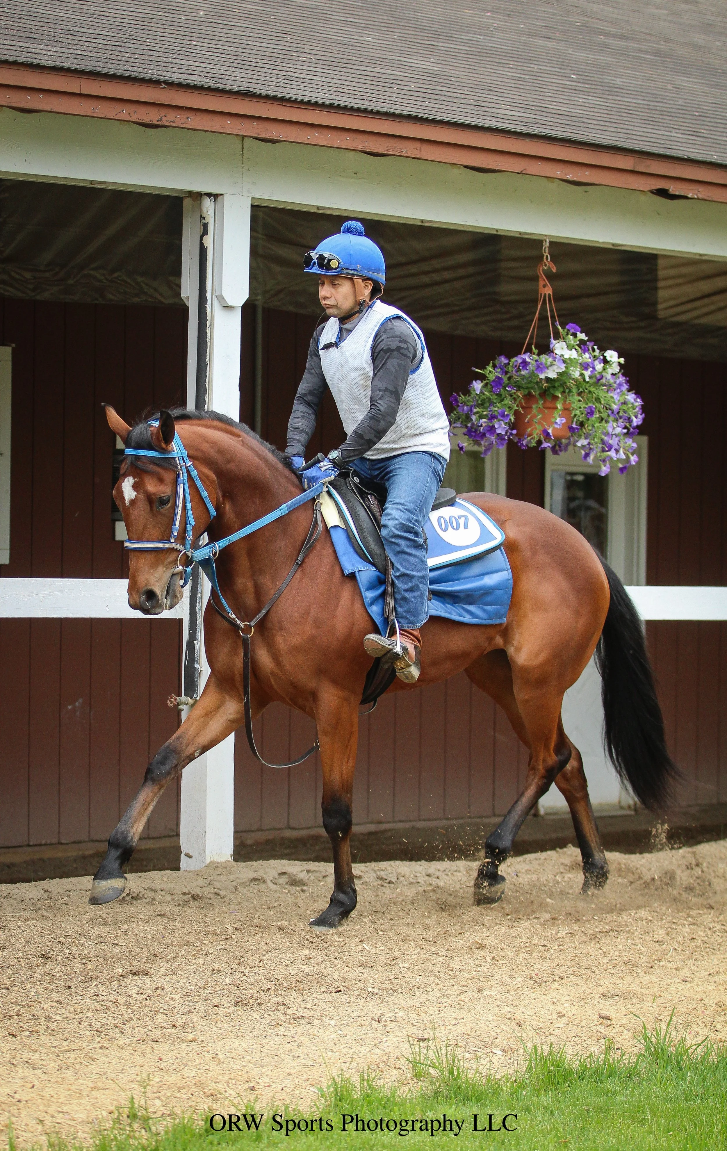 Brandini '24