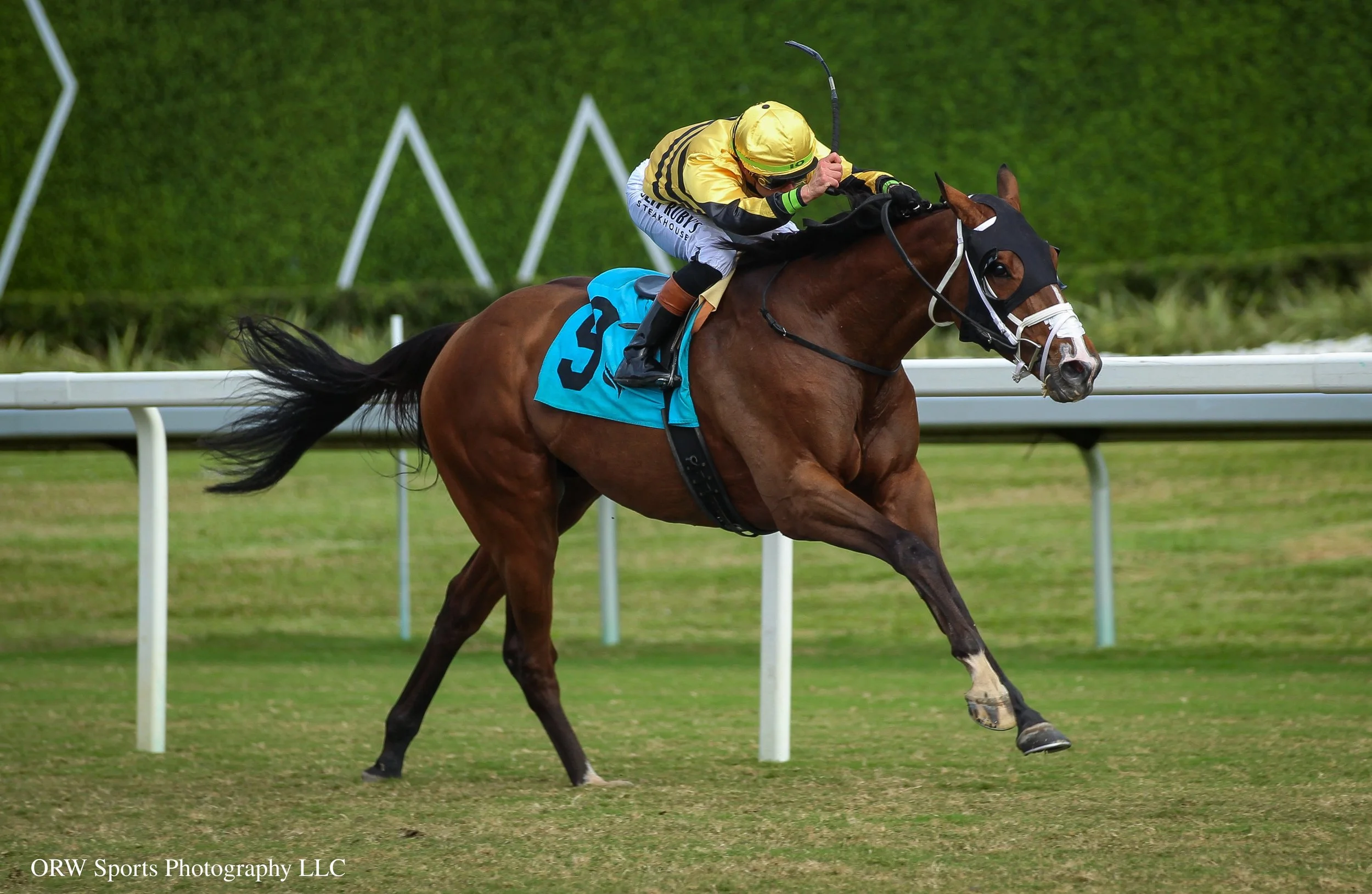 Jurisprudence and Irad Ortiz Jr 