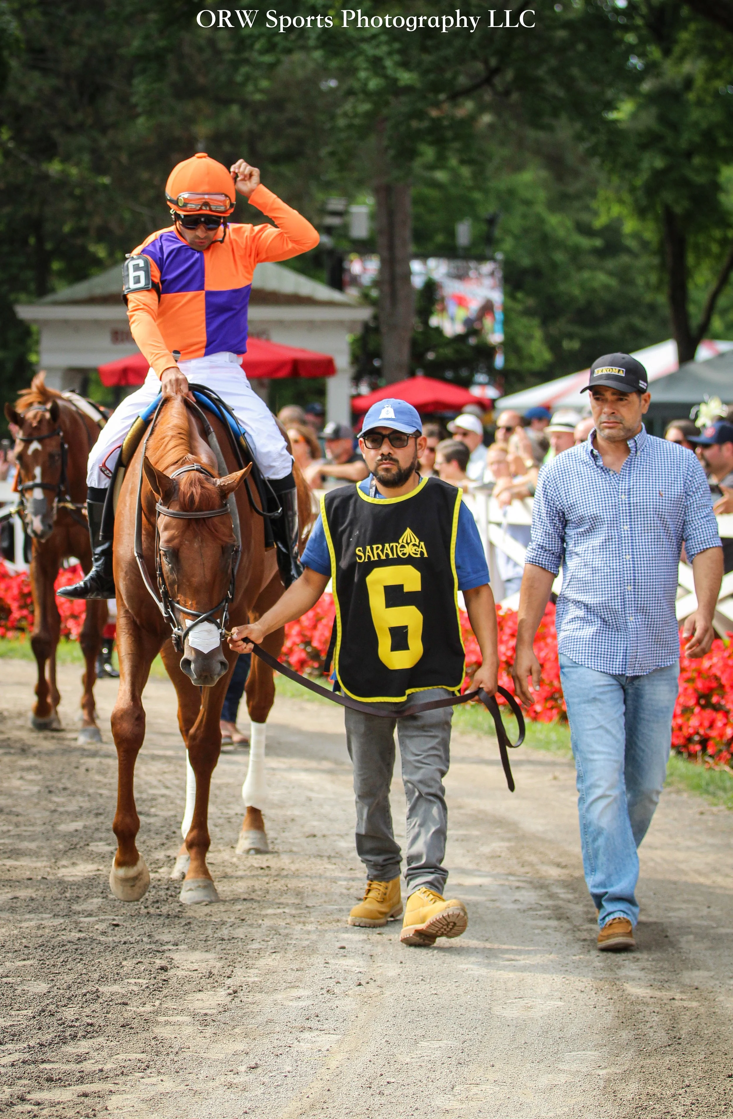 Hilts and Luis Saez 