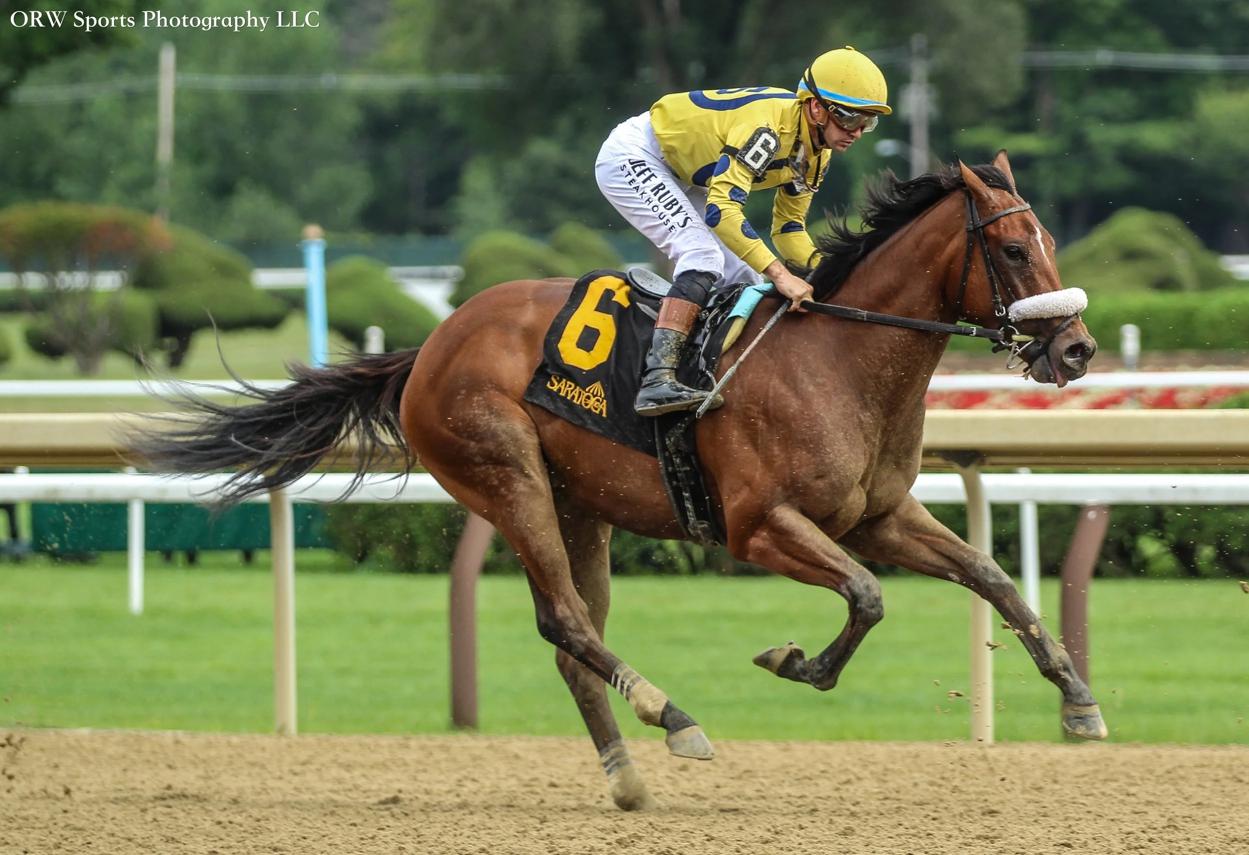 Flight Command, the first graded runner by Flightline, was favored going into the gate, but after a stumble at the start and a poor trip, the colt finished last. 