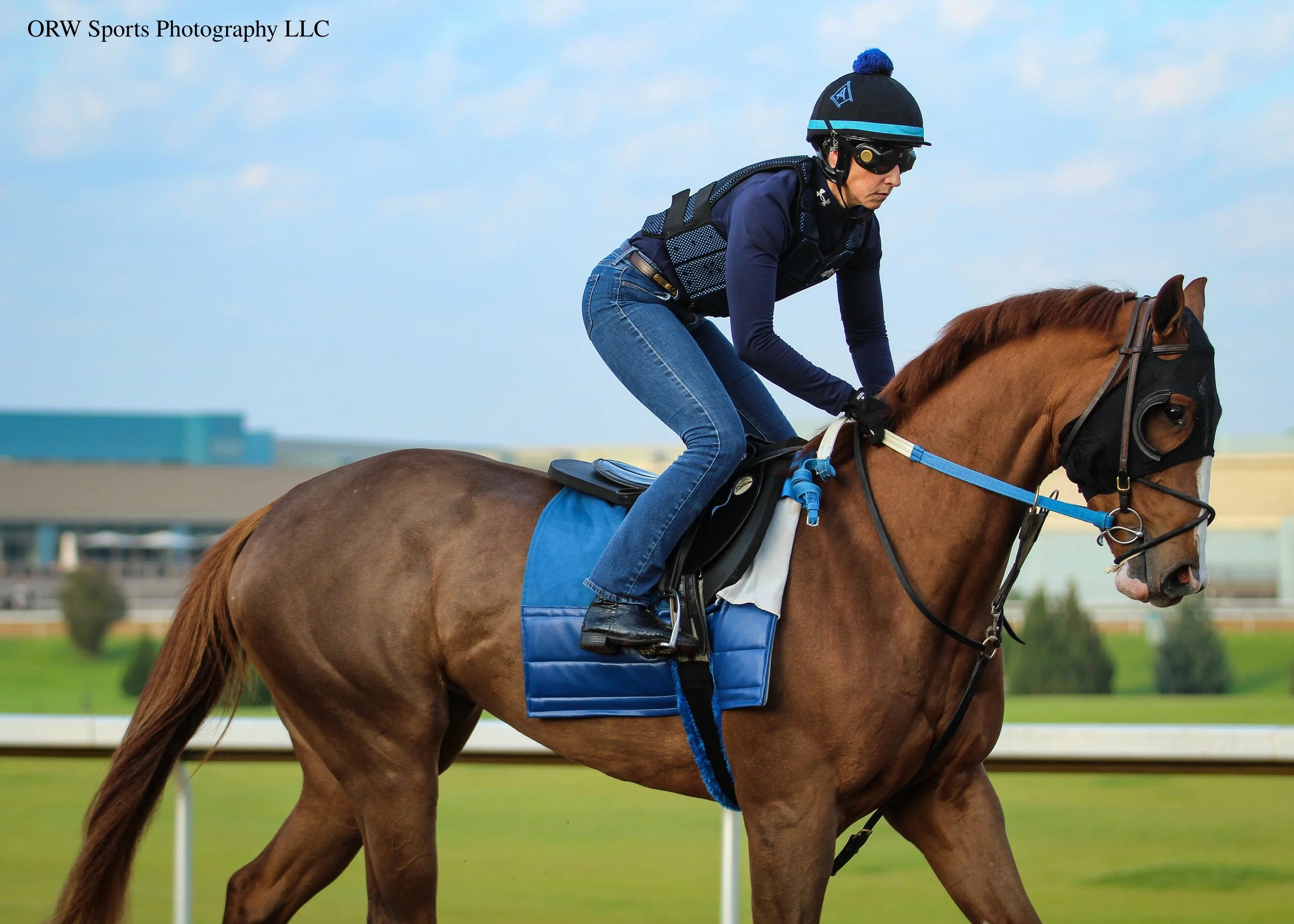 Steve Asmussen Trainee 