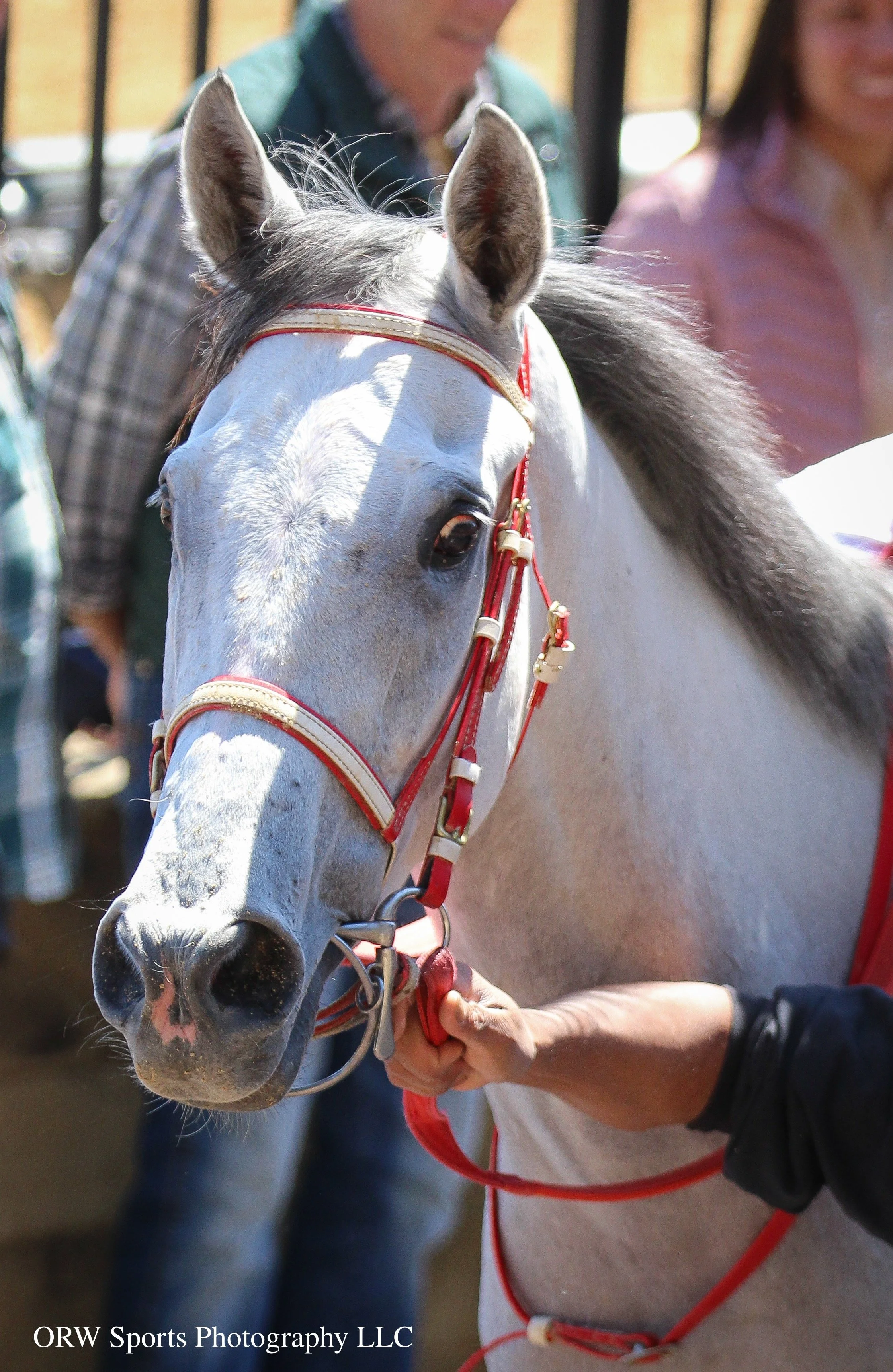 Denali Lightning. He pulled off quite an upset, but he isn't going to be the only one....
