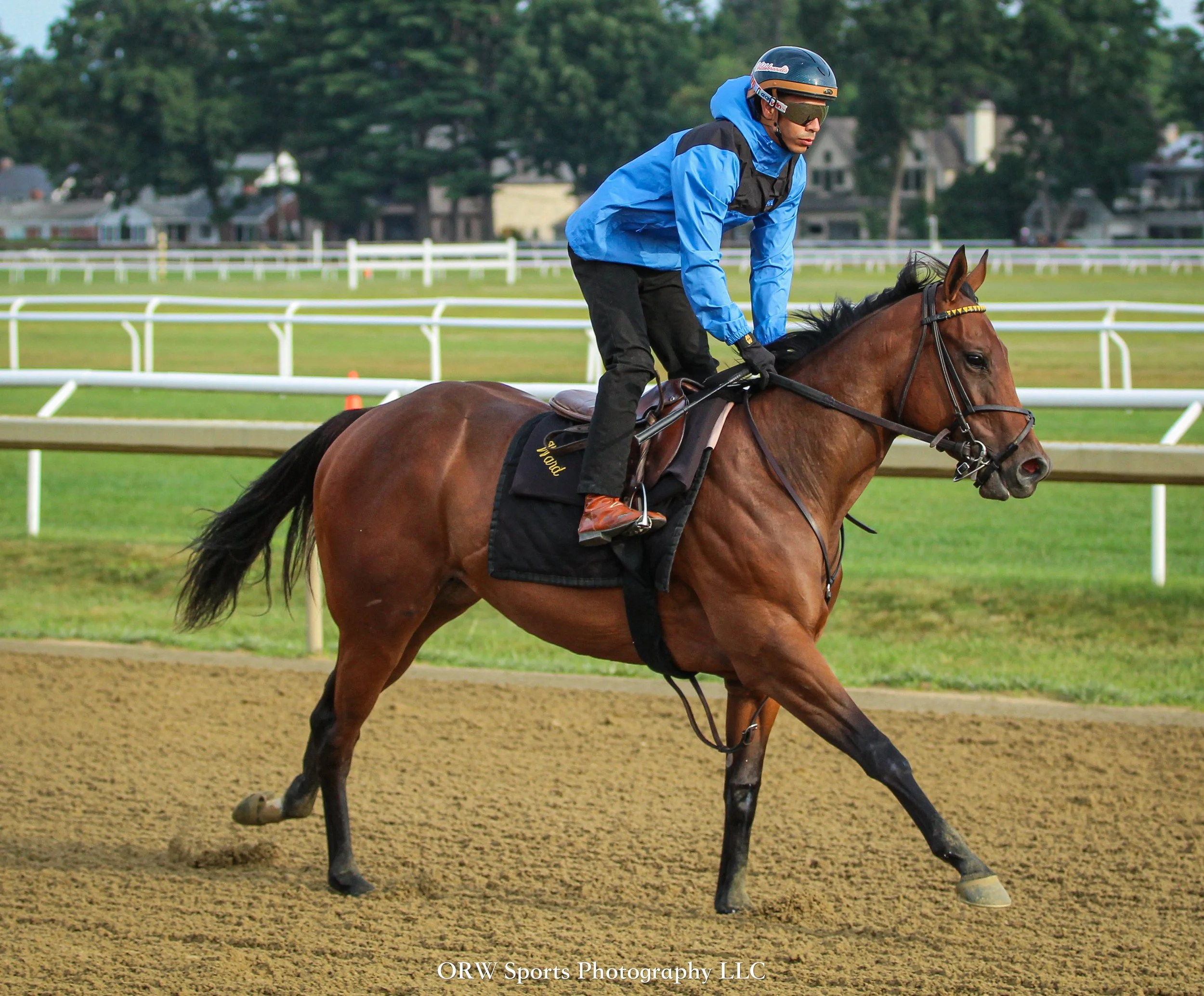 Wesley Ward trainee. Jose Ortiz aboard. 